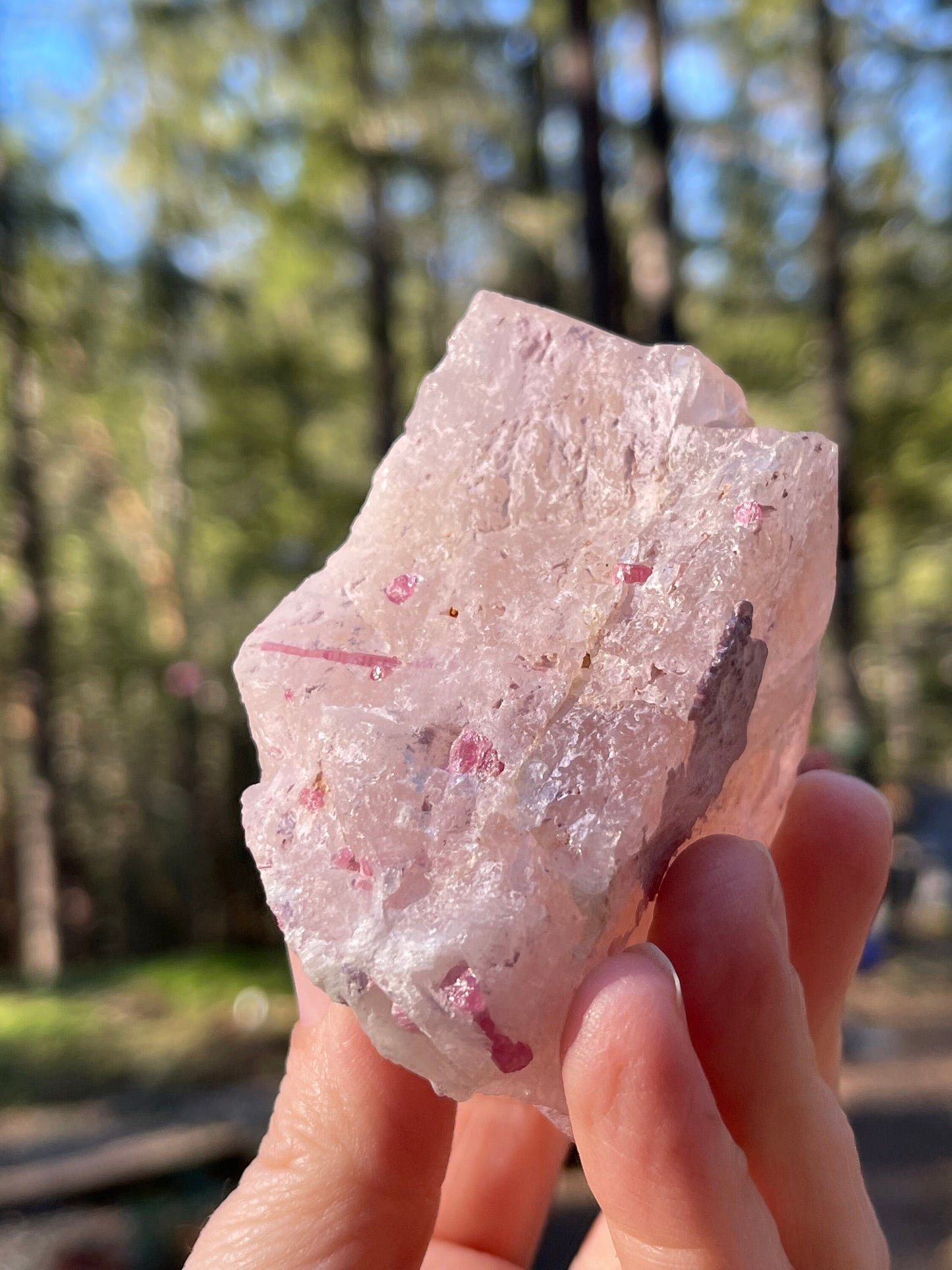 Morganite and Pink Tourmaline Crystal, Stewart Mine, San Diego, CA USA