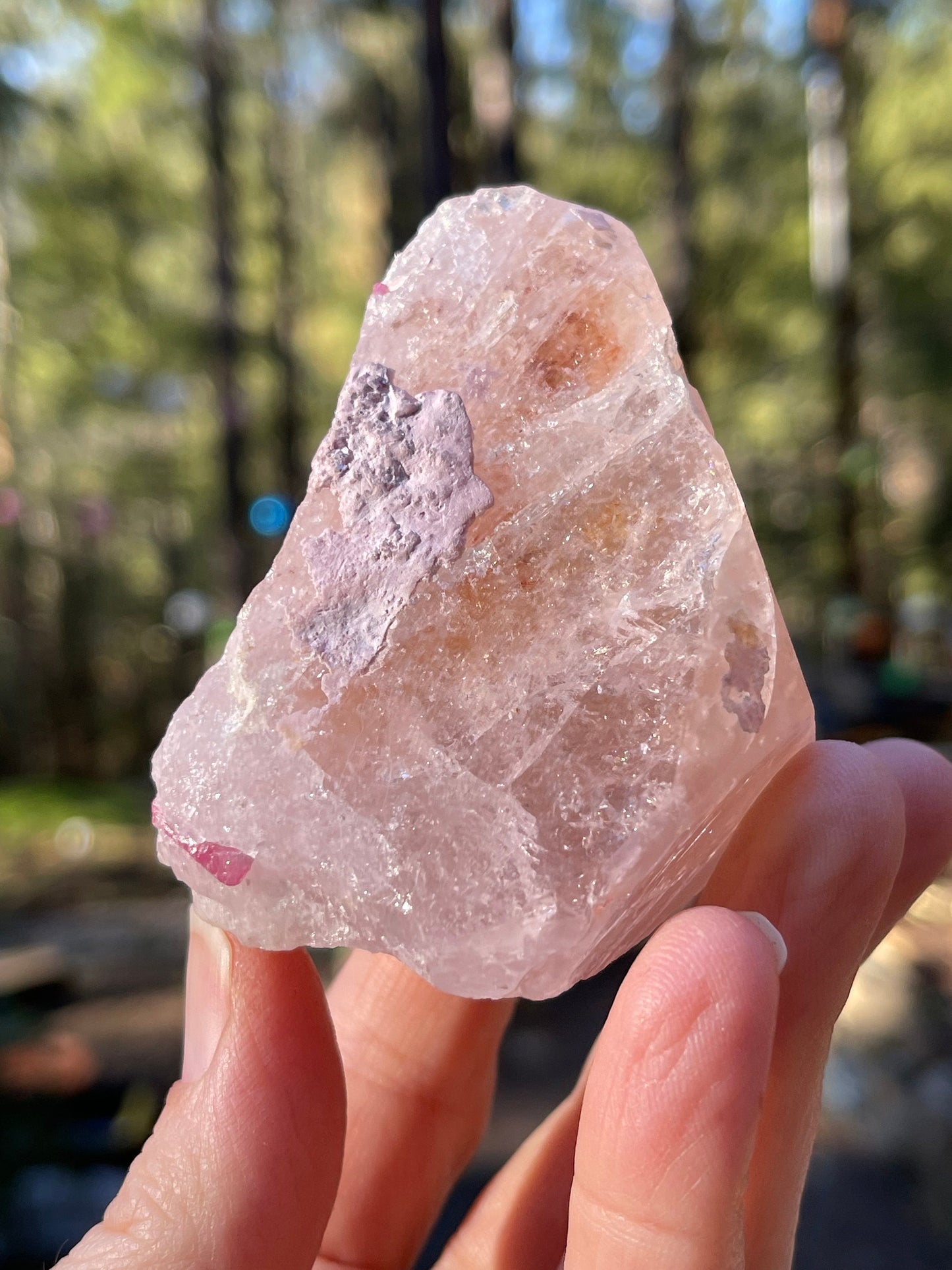 Morganite and Pink Tourmaline Crystal, Stewart Mine, San Diego, CA USA