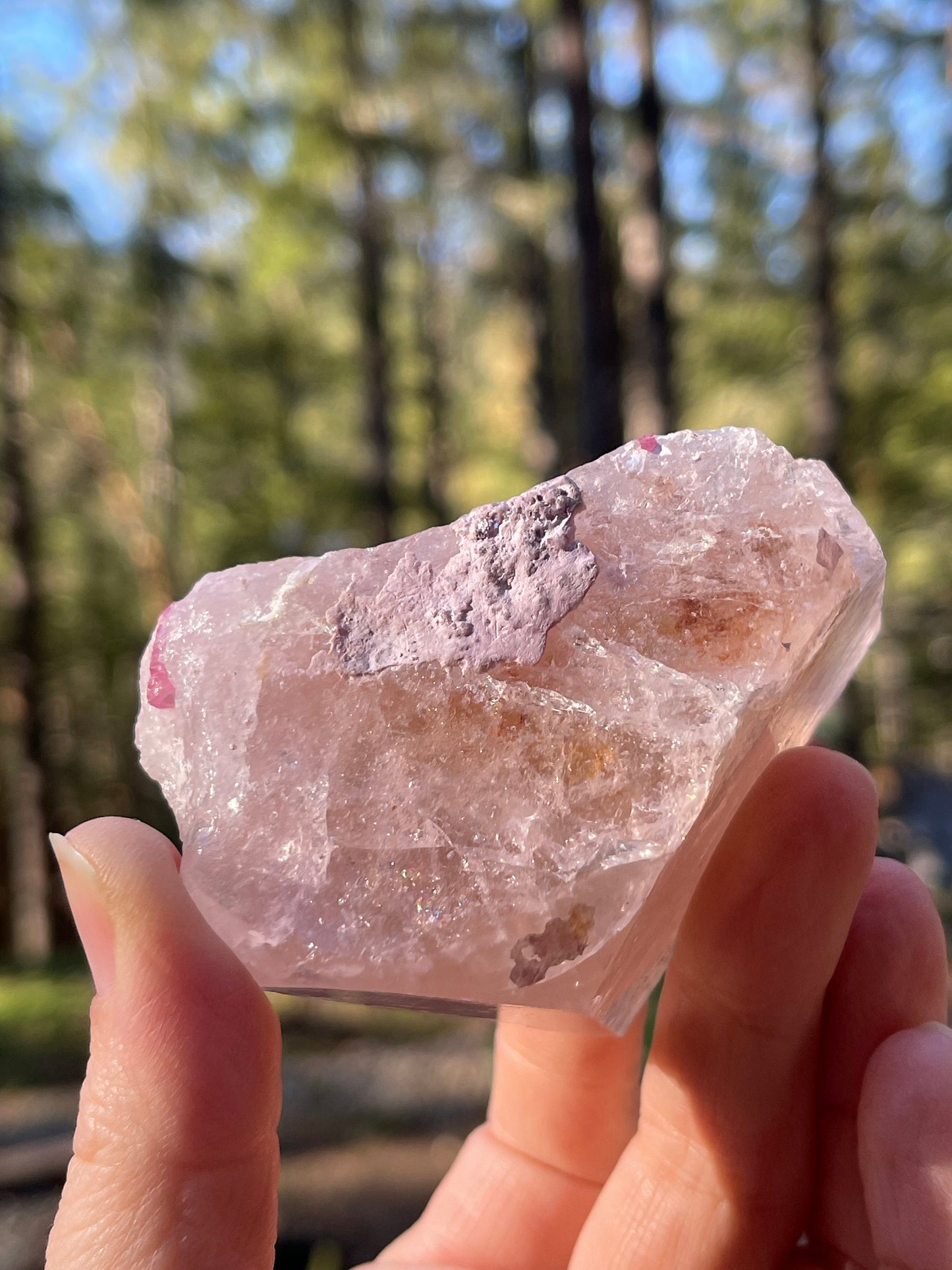 Morganite and Pink Tourmaline Crystal, Stewart Mine, San Diego, CA USA