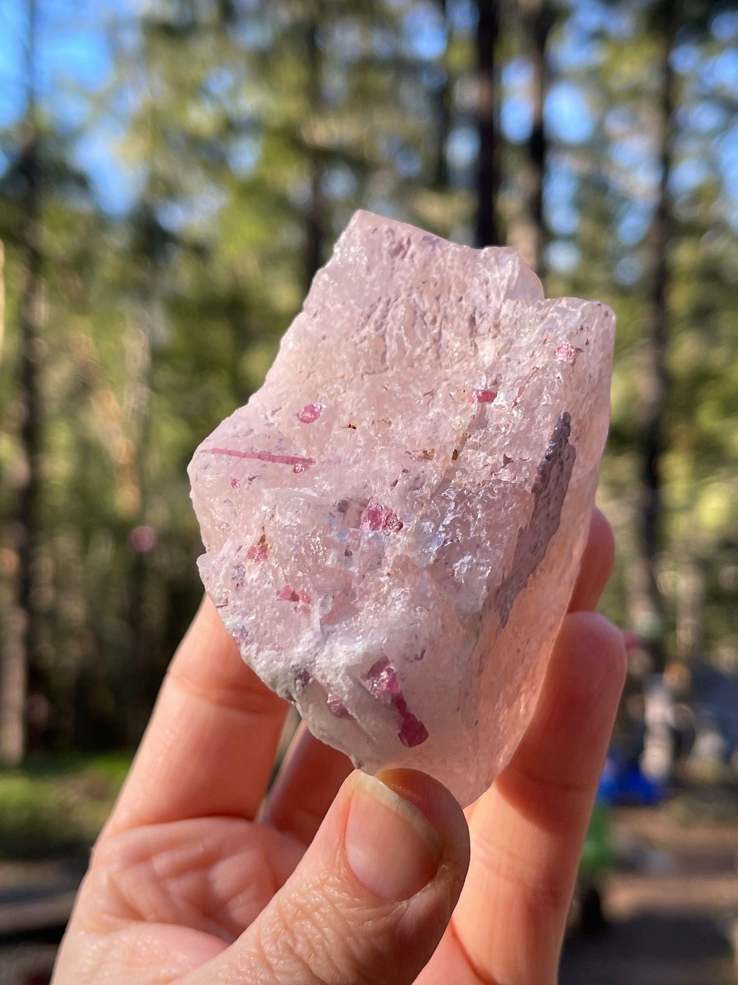 Morganite and Pink Tourmaline Crystal, Stewart Mine, San Diego, CA USA