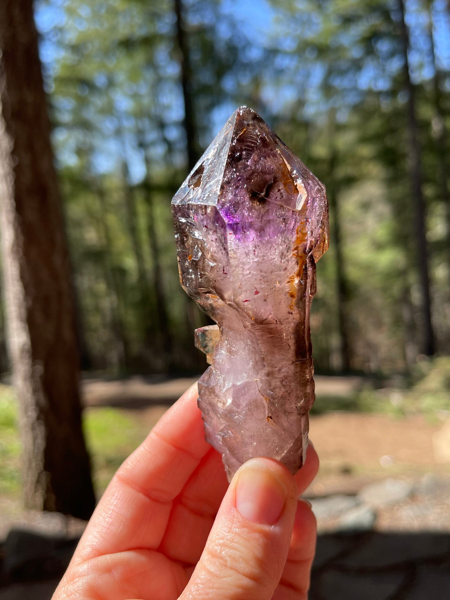 Amethyst Scepter, Zambia