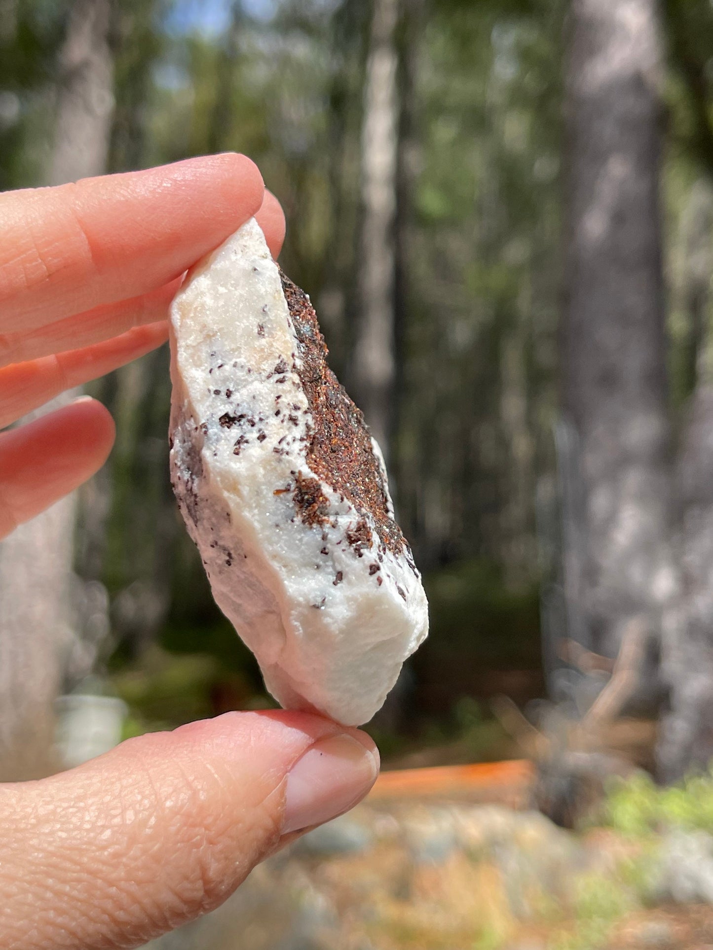 Astrophyllite Starburst, Shimmering Minerals