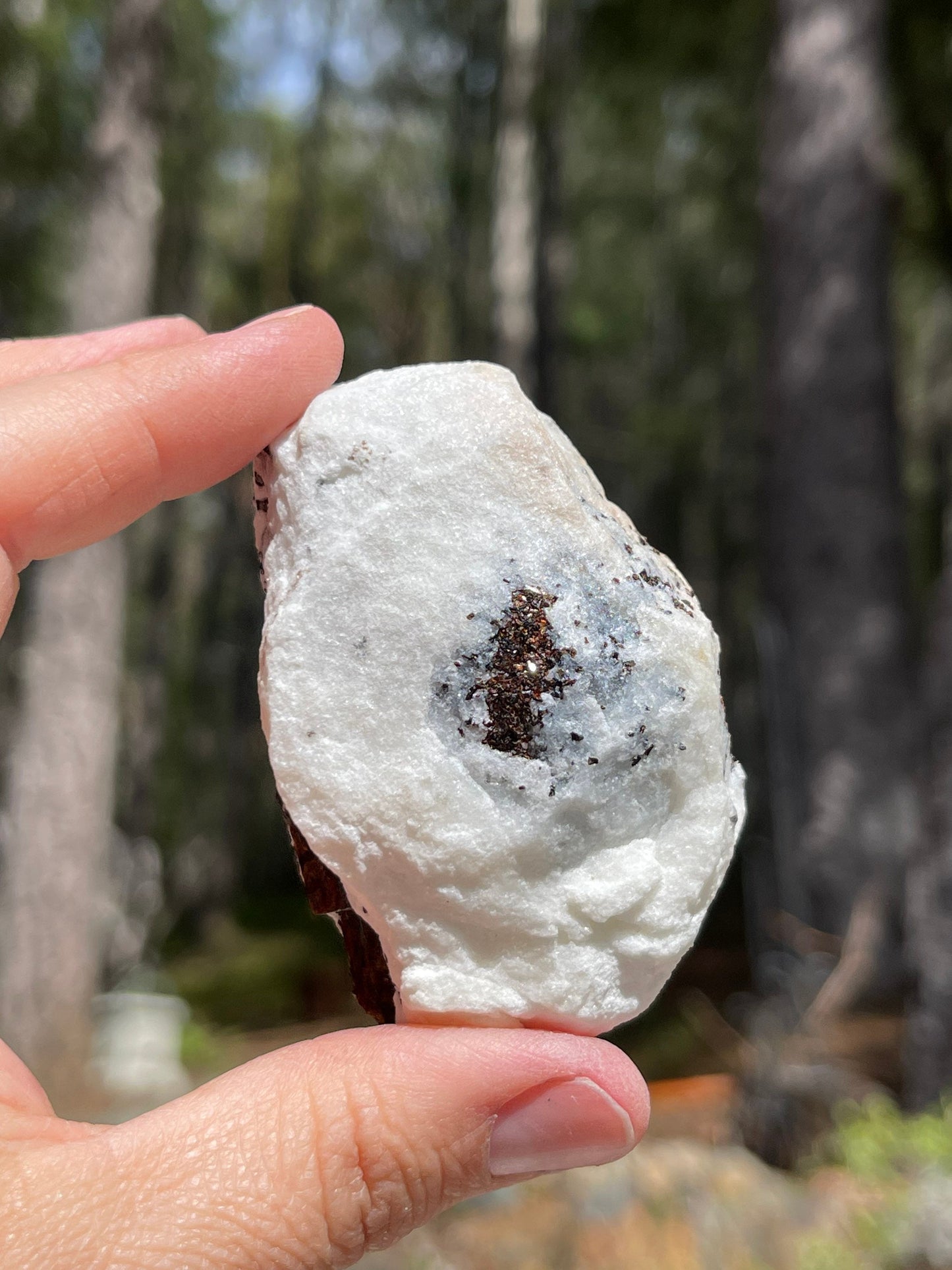 Astrophyllite Starburst, Shimmering Minerals