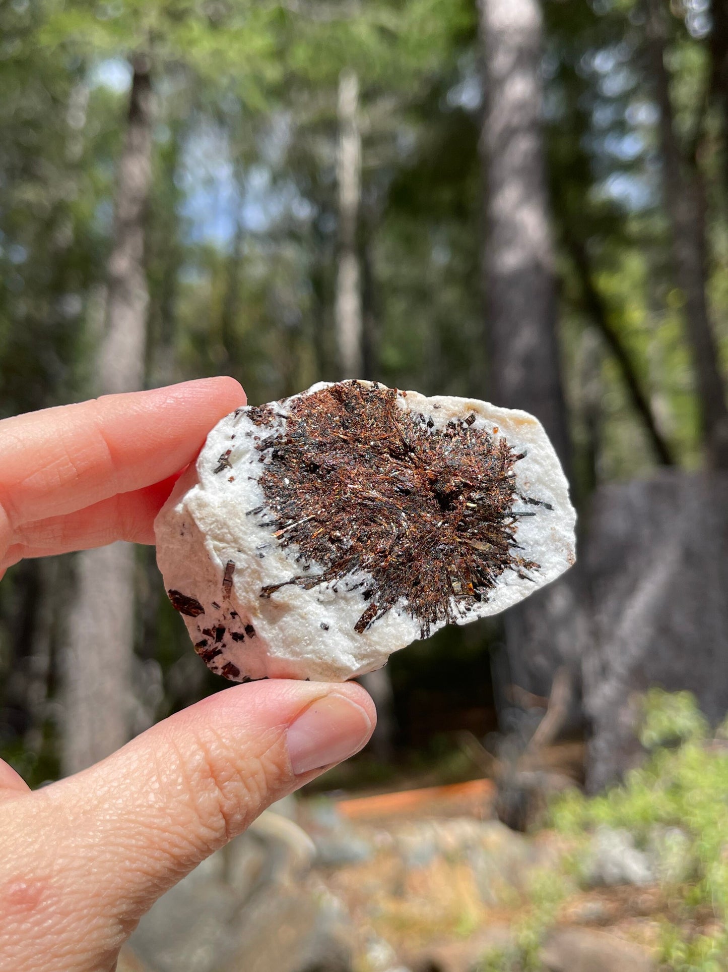 Astrophyllite Starburst, Shimmering Minerals