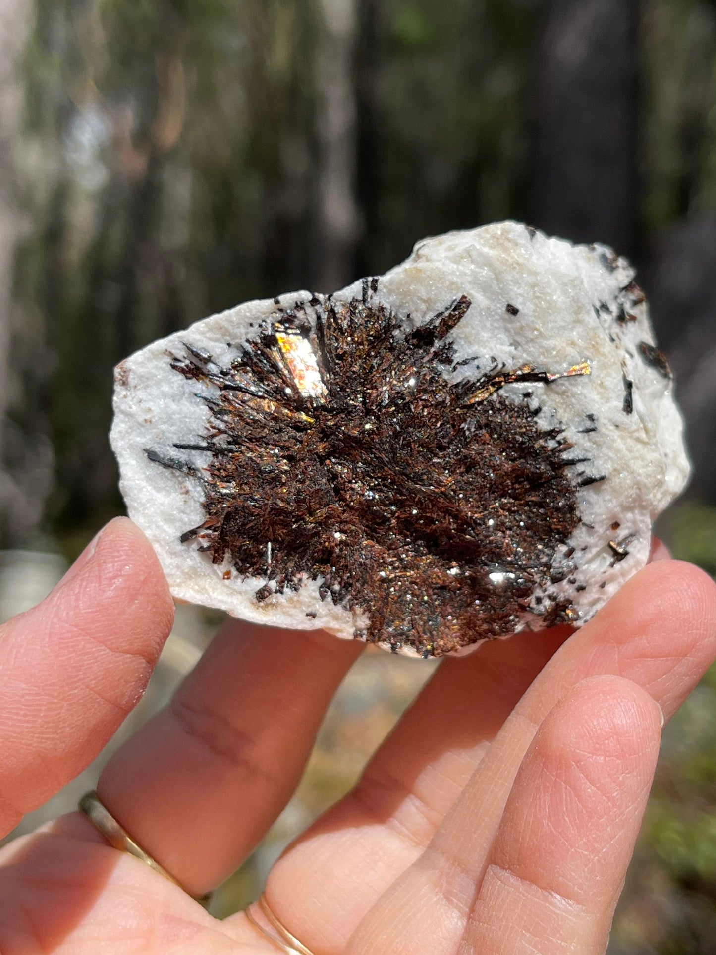 Astrophyllite Starburst, Shimmering Minerals