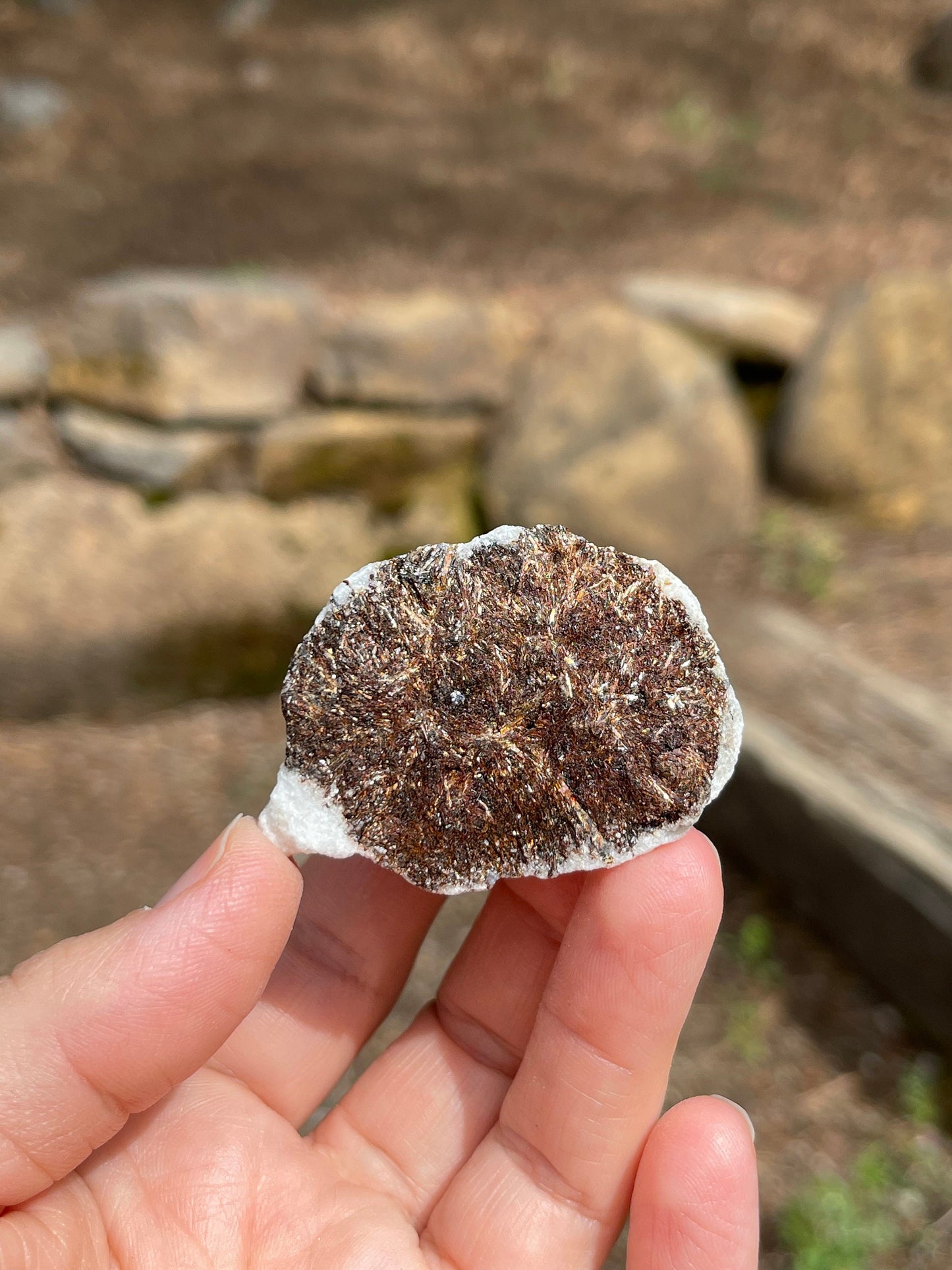 Astrophyllite Starburst, Shimmering Mineral