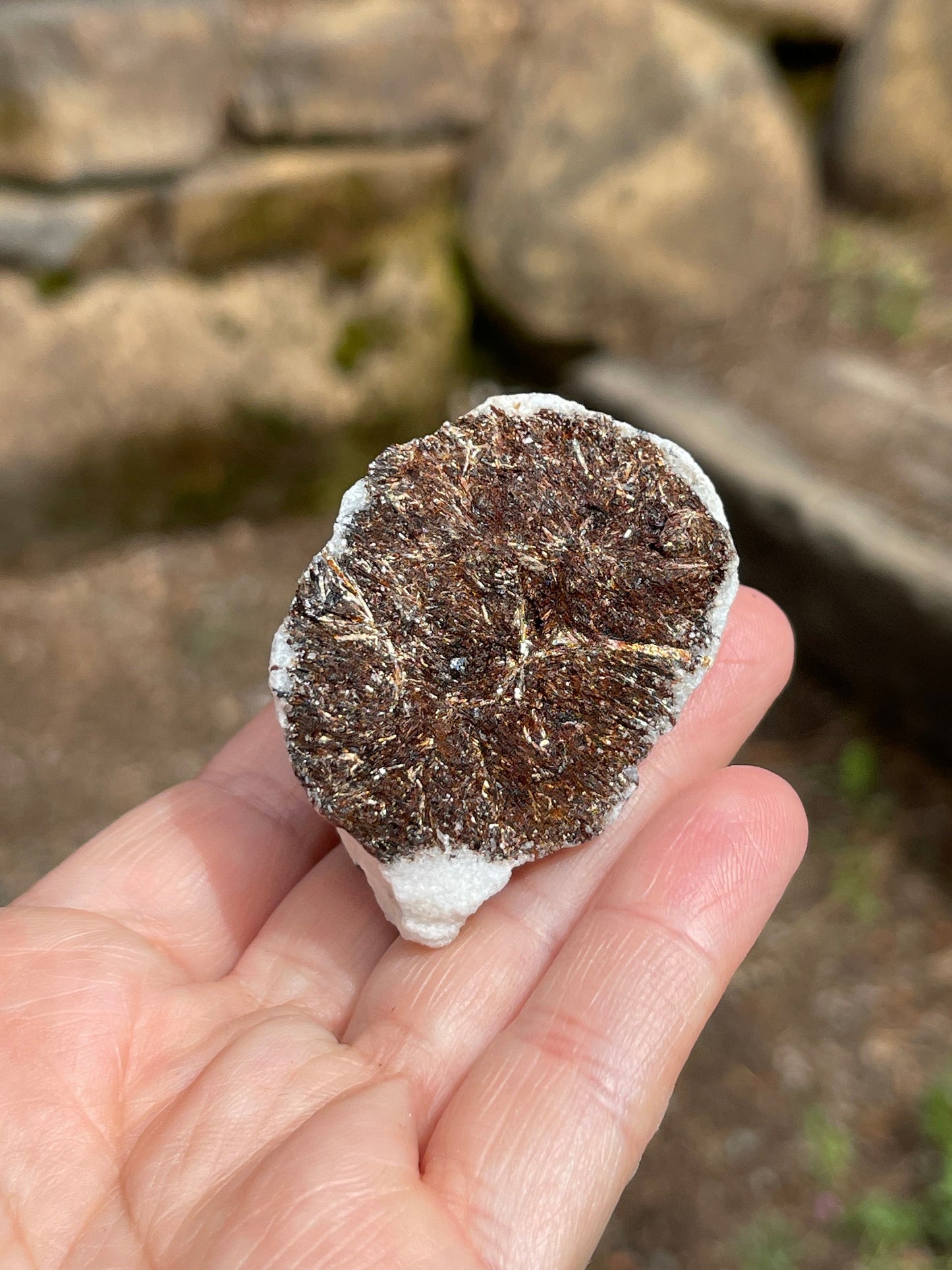 Astrophyllite Starburst, Shimmering Mineral