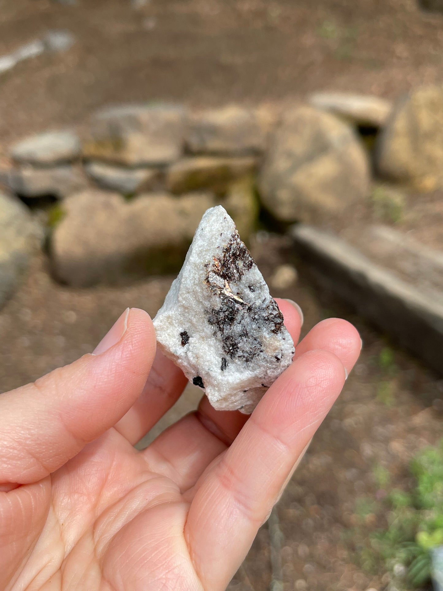 Astrophyllite Starburst, Shimmering Mineral