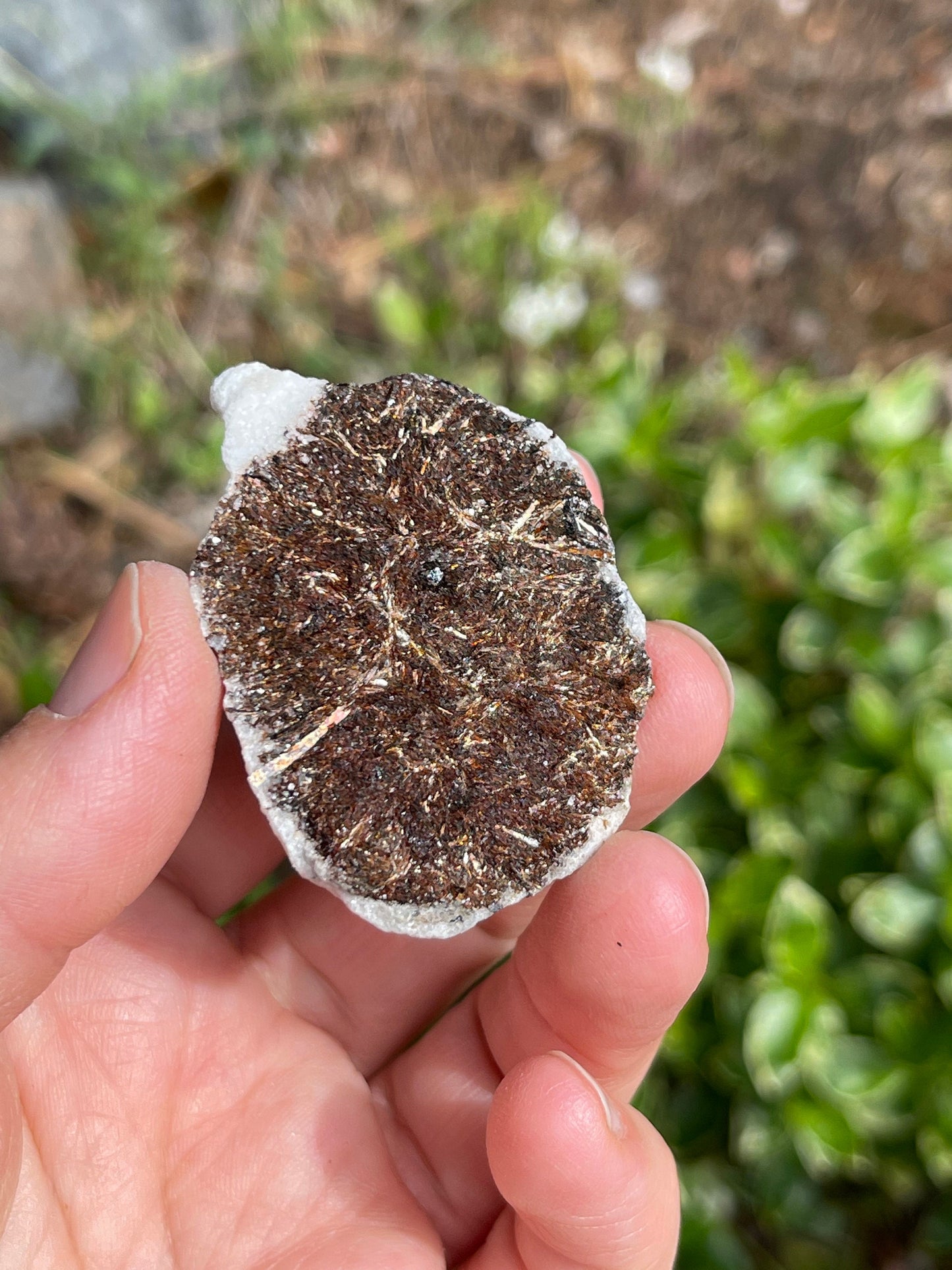 Astrophyllite Starburst, Shimmering Mineral