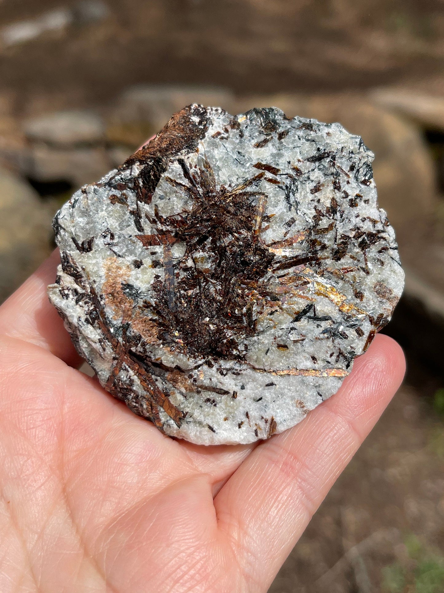 Astrophyllite Starburst, Shimmering Minerals
