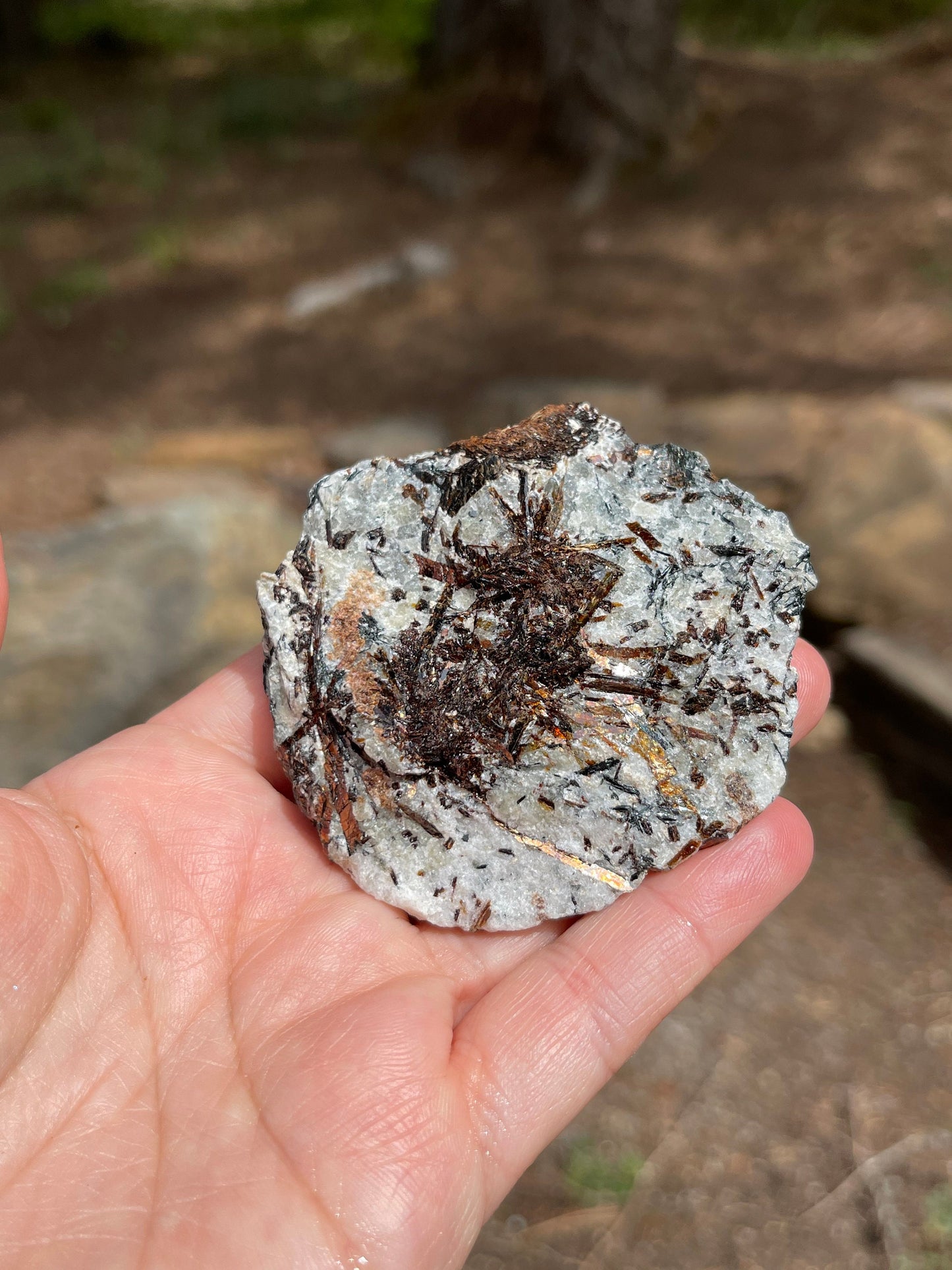 Astrophyllite Starburst, Shimmering Minerals