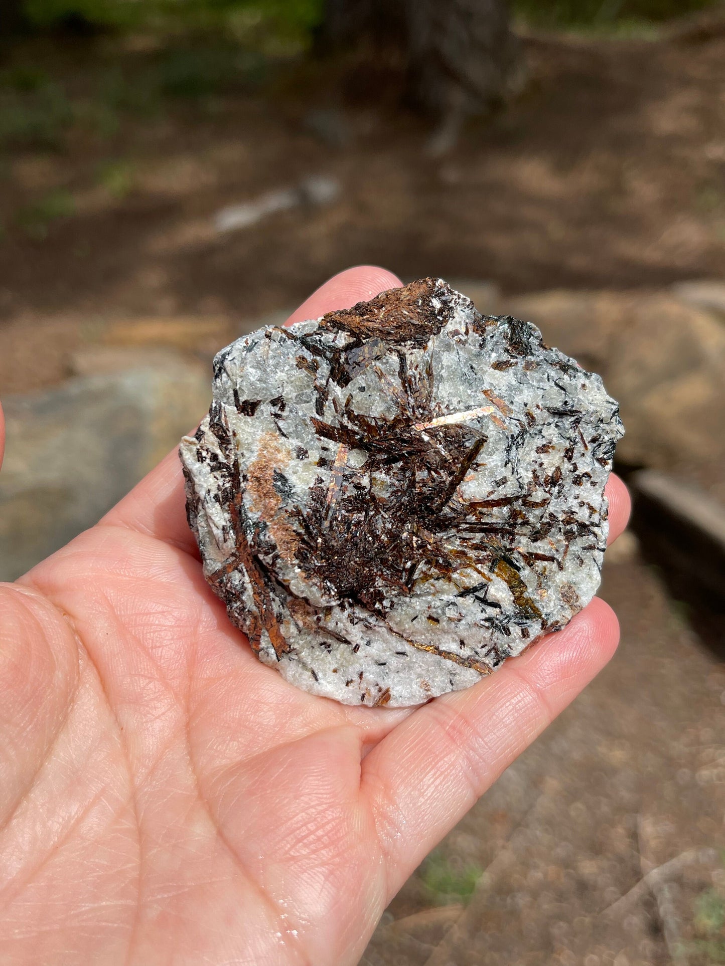 Astrophyllite Starburst, Shimmering Minerals