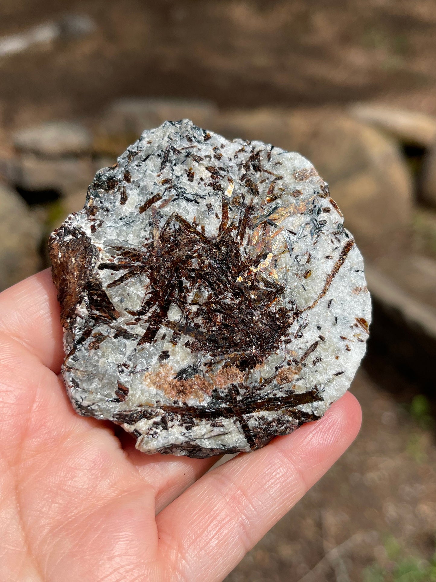 Astrophyllite Starburst, Shimmering Minerals