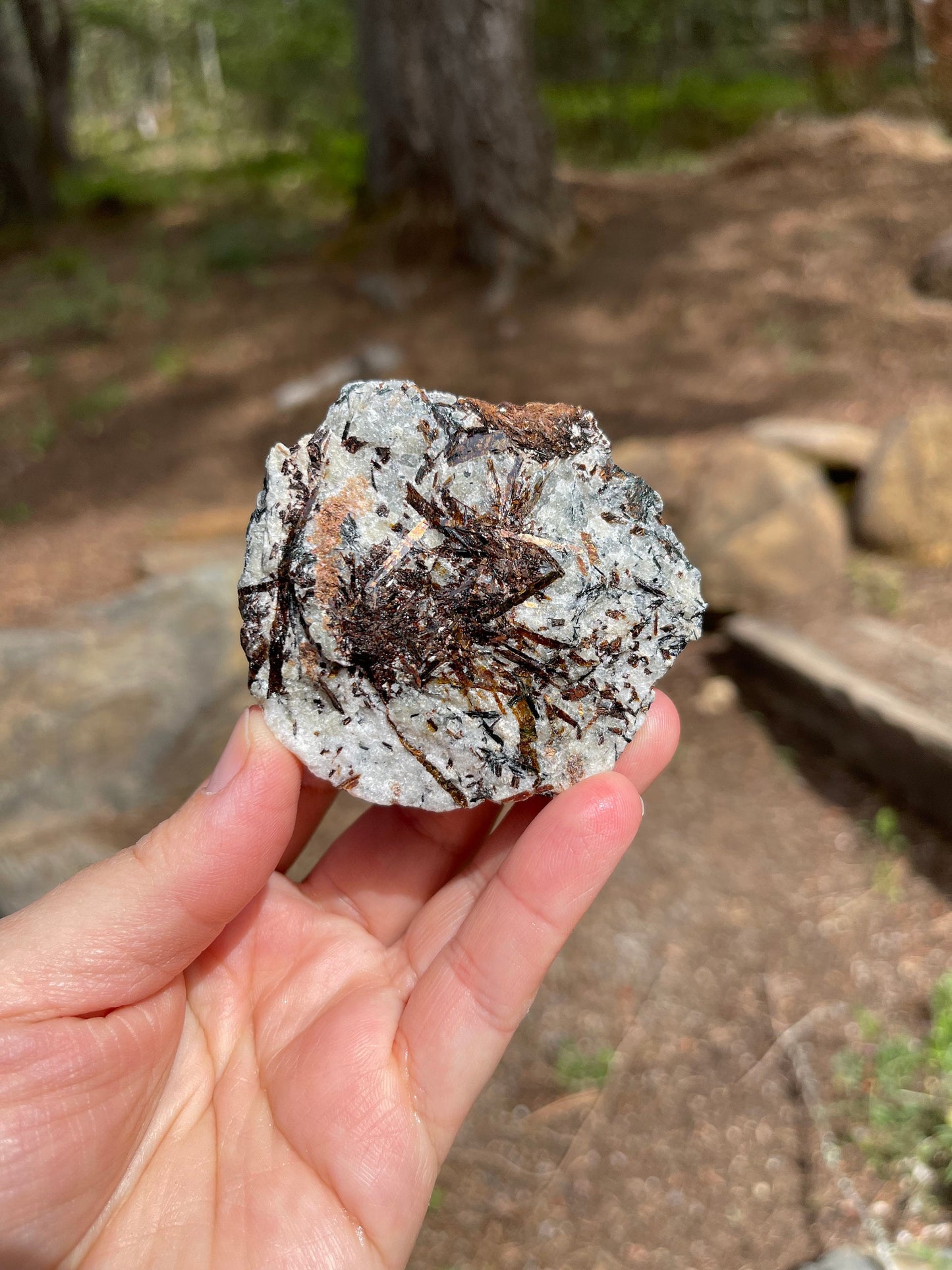 Astrophyllite Starburst, Shimmering Minerals