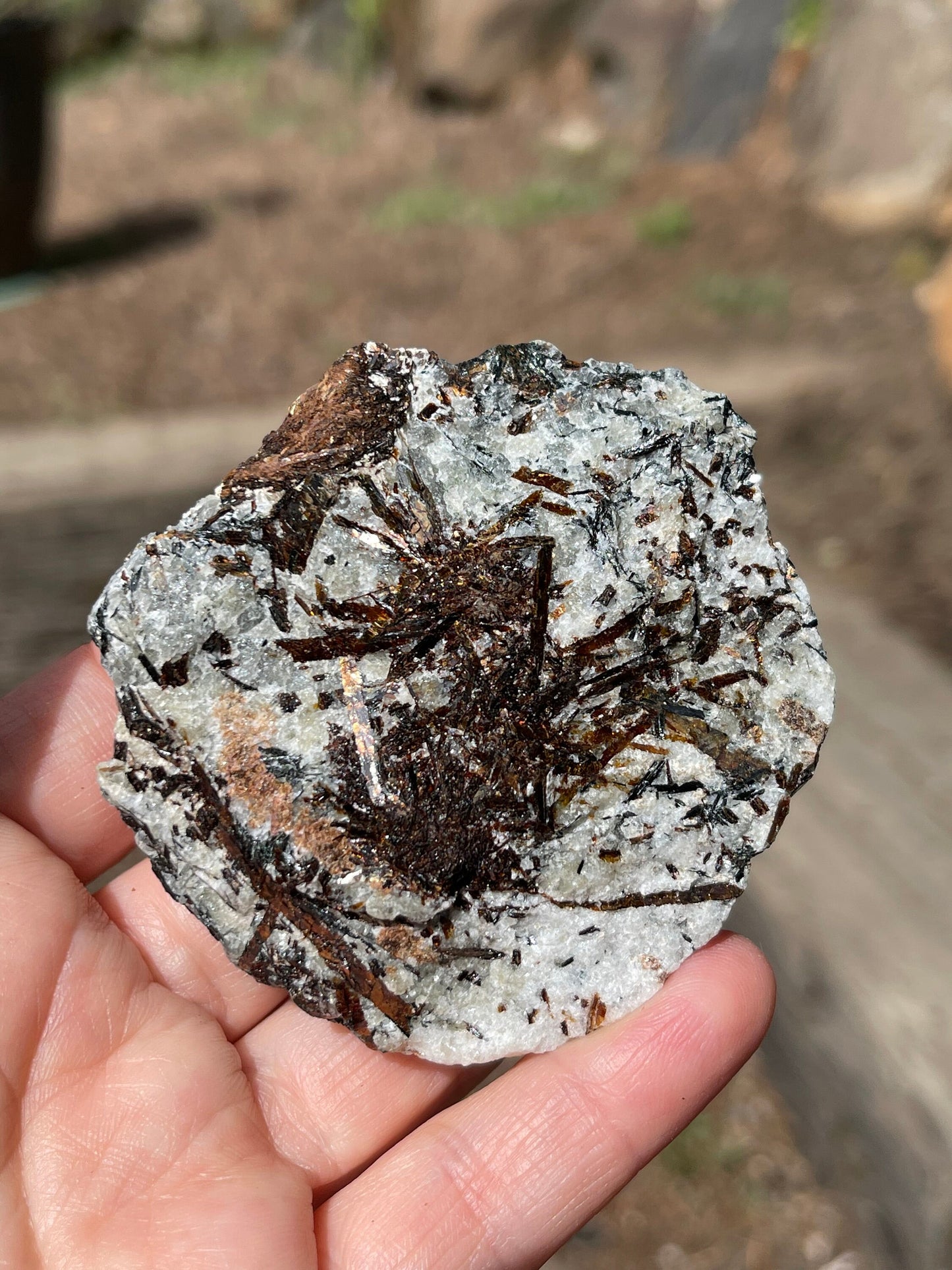 Astrophyllite Starburst, Shimmering Minerals