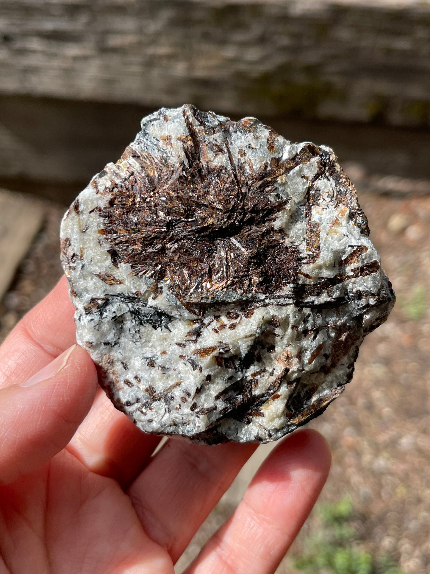 Astrophyllite Starburst, Shimmering Minerals