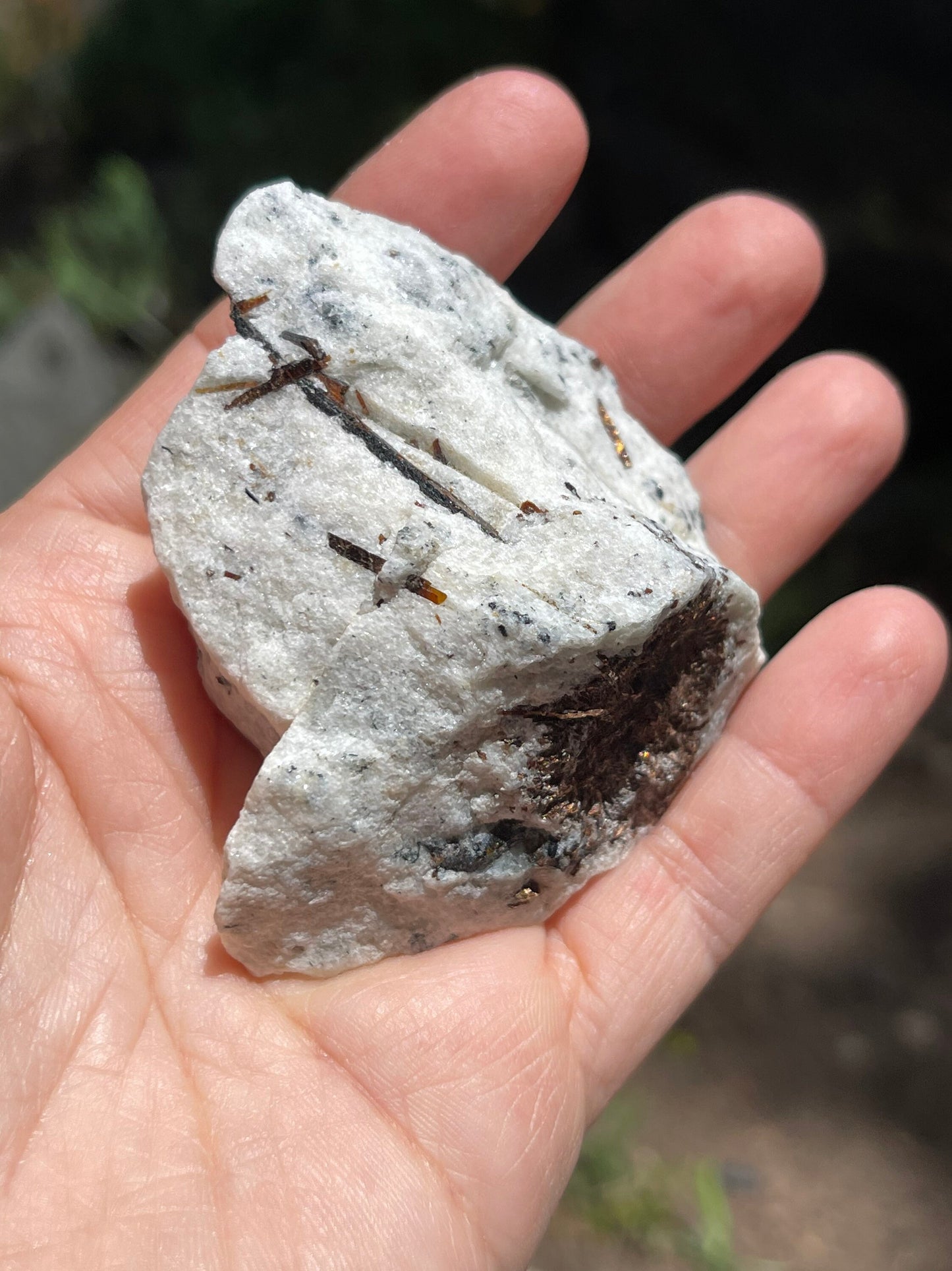 Astrophyllite Starburst, Shimmering Minerals