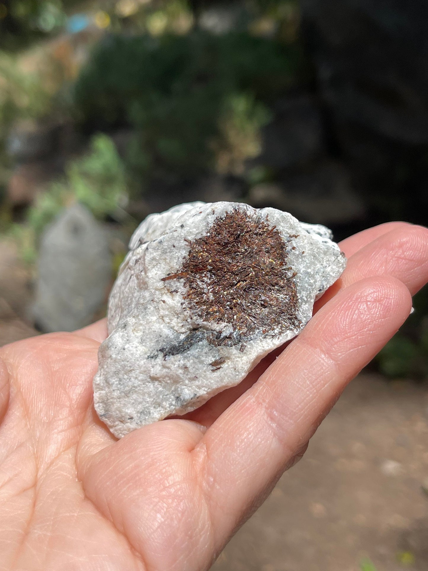 Astrophyllite Starburst, Shimmering Minerals