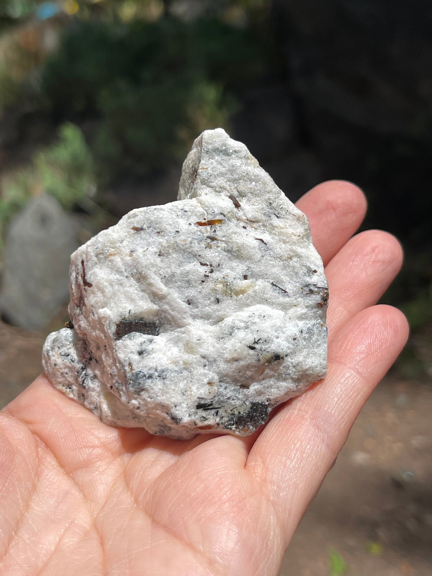 Astrophyllite Starburst, Shimmering Minerals