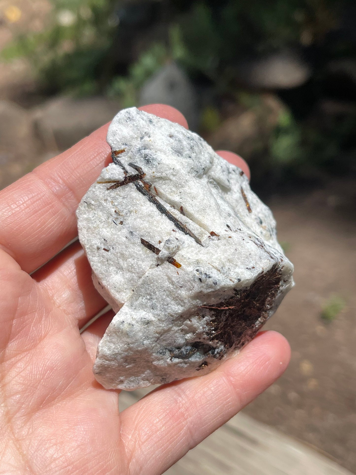 Astrophyllite Starburst, Shimmering Minerals