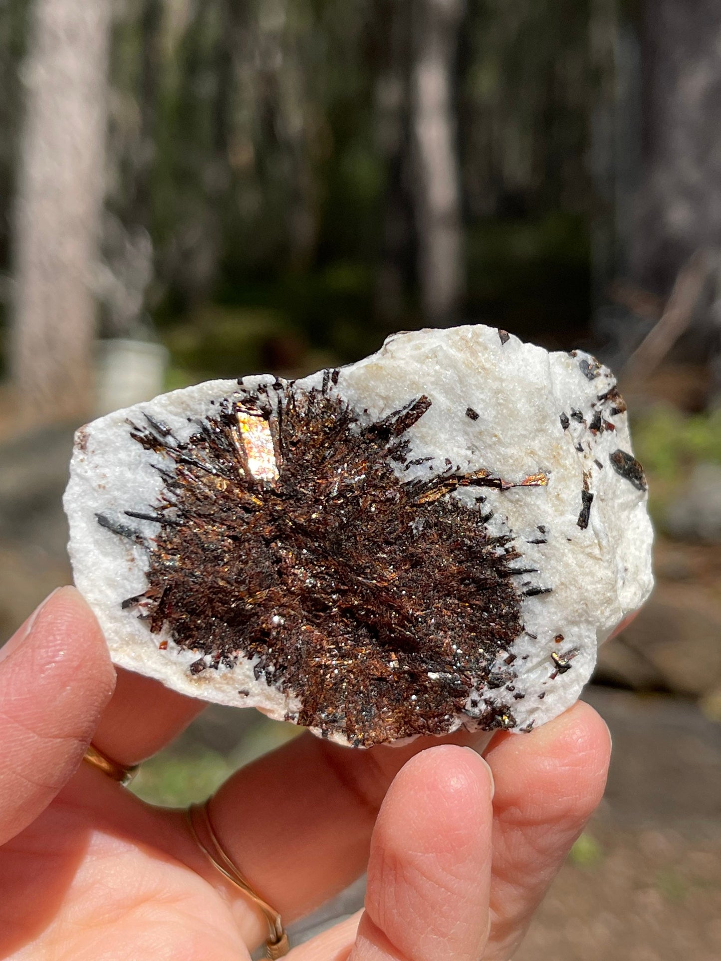 Astrophyllite Starburst, Shimmering Minerals