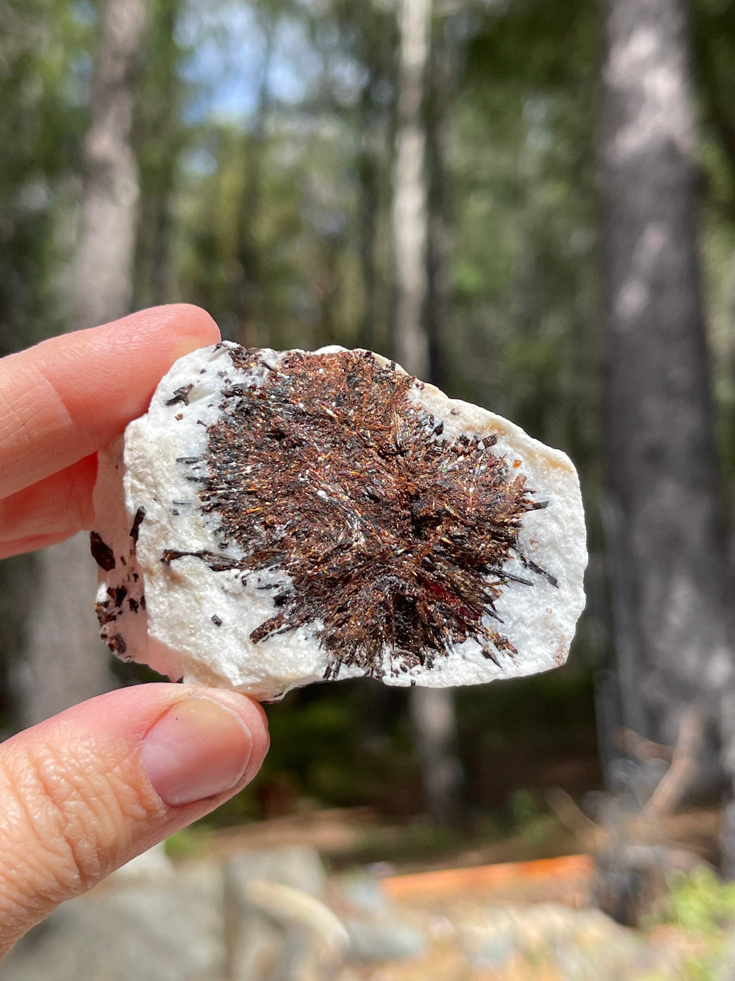 Astrophyllite Starburst, Shimmering Minerals