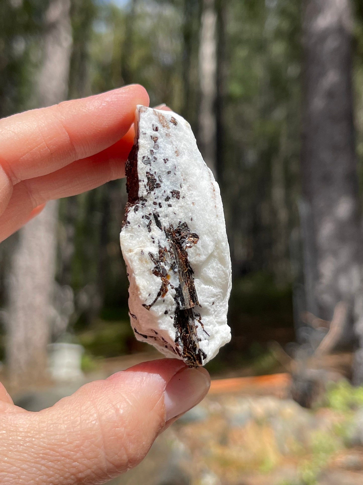 Astrophyllite Starburst, Shimmering Minerals