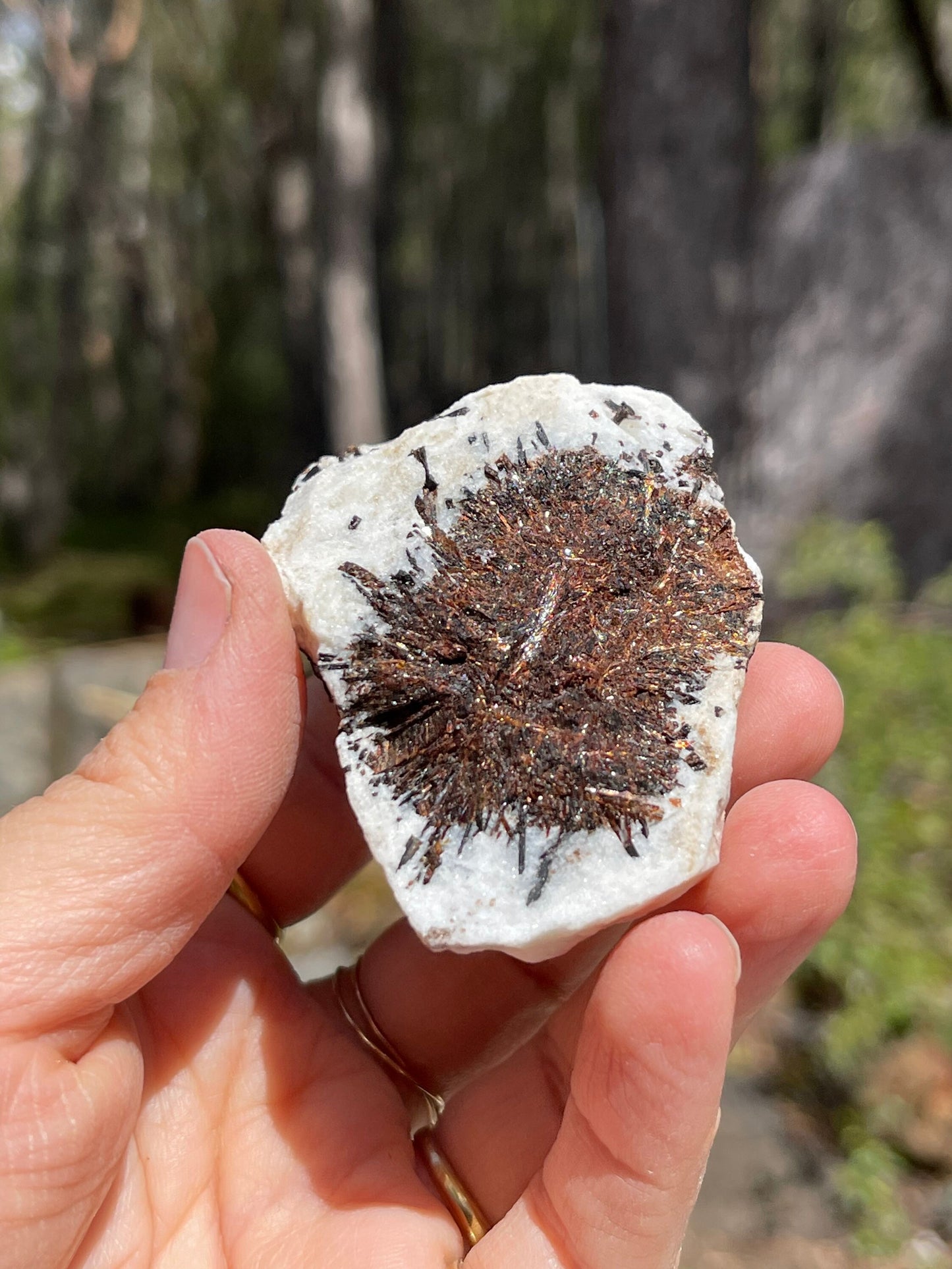 Astrophyllite Starburst, Shimmering Minerals