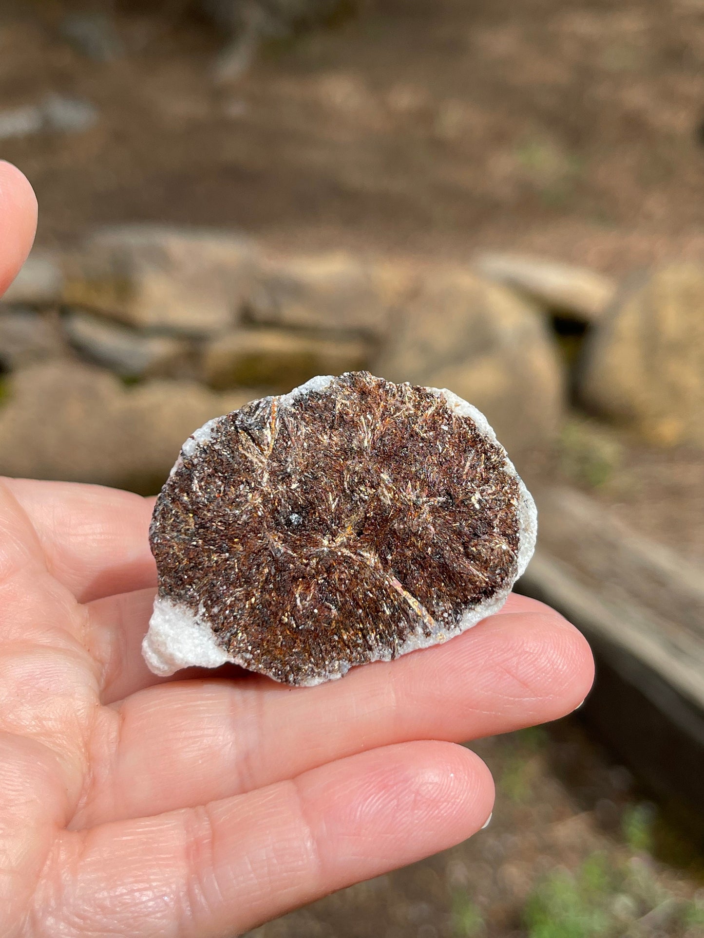 Astrophyllite Starburst, Shimmering Mineral
