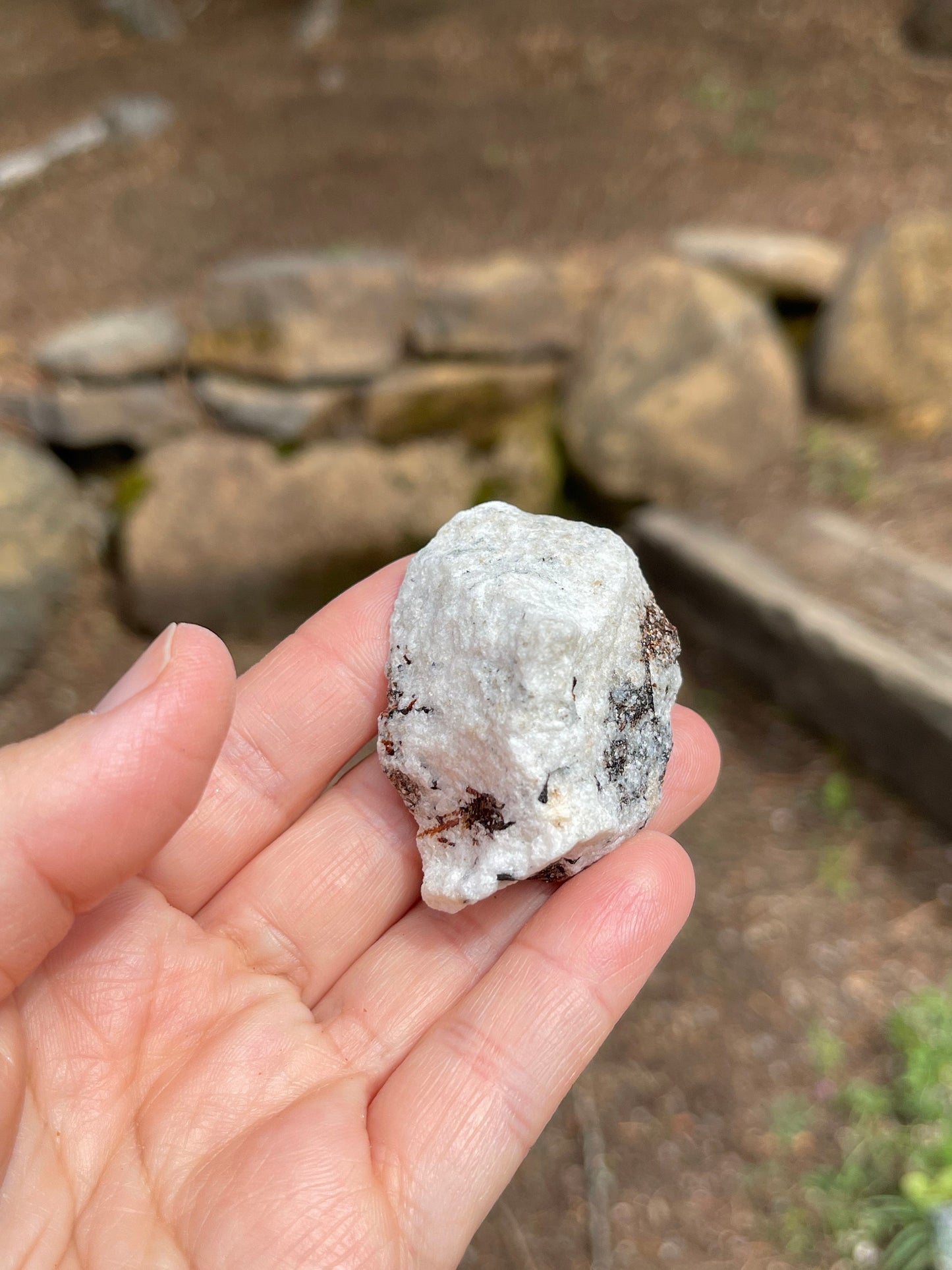 Astrophyllite Starburst, Shimmering Mineral