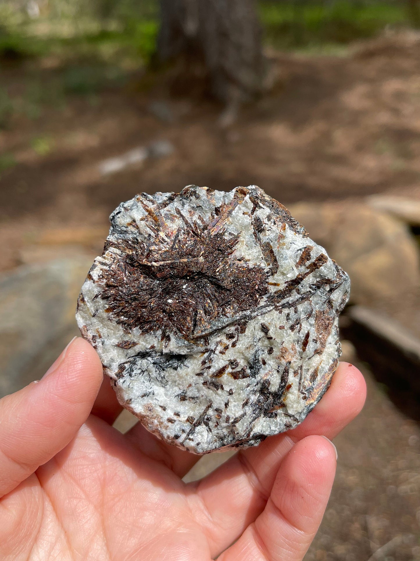 Astrophyllite Starburst, Shimmering Minerals