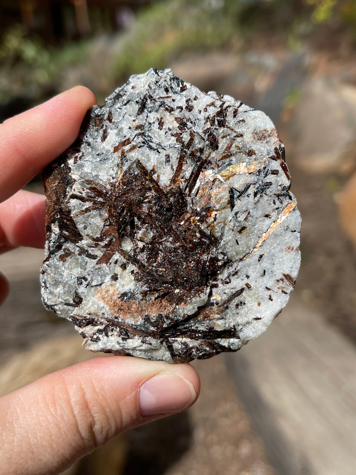 Astrophyllite Starburst, Shimmering Minerals