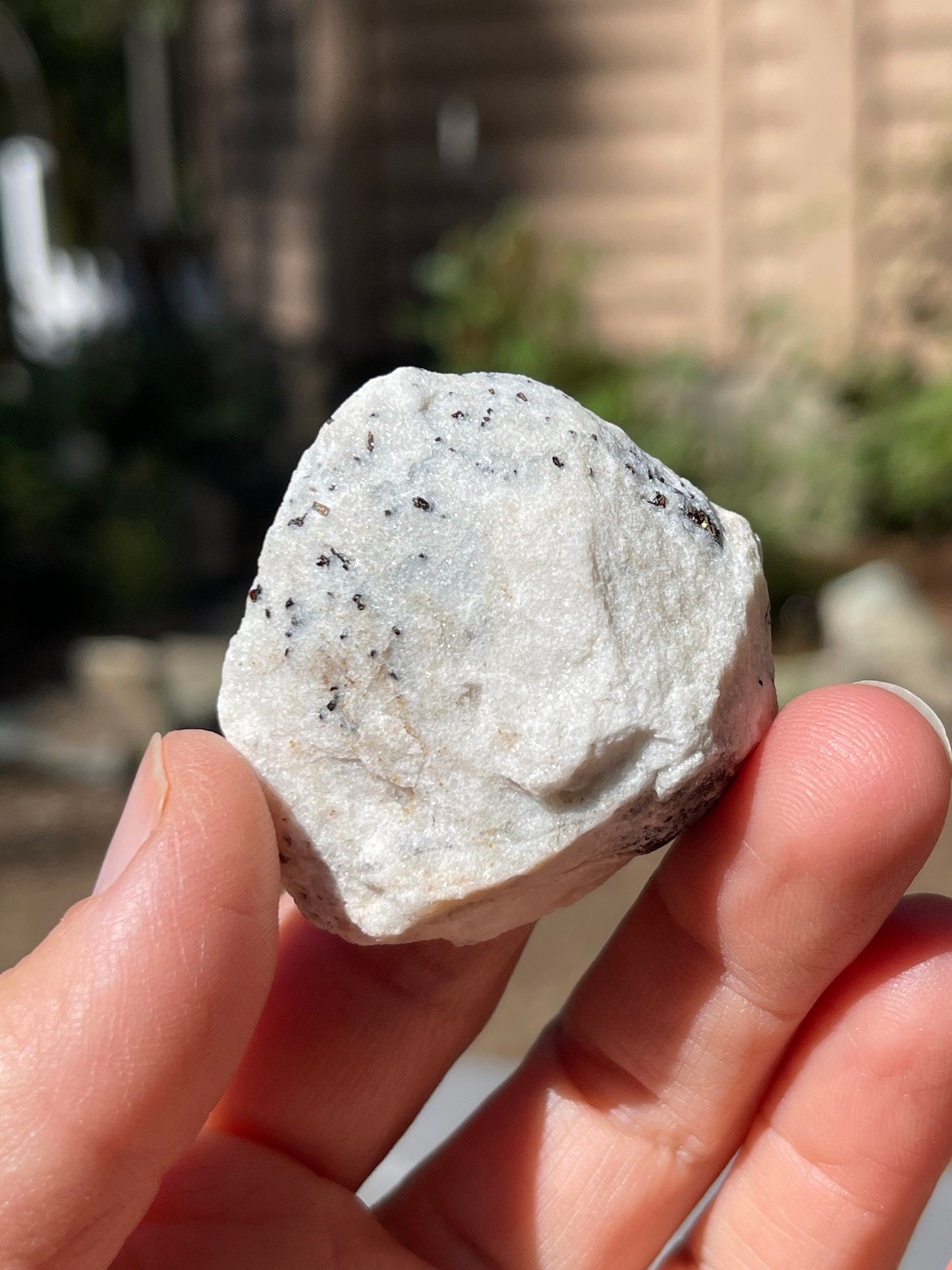 Astrophyllite Starburst, Shimmering Minerals