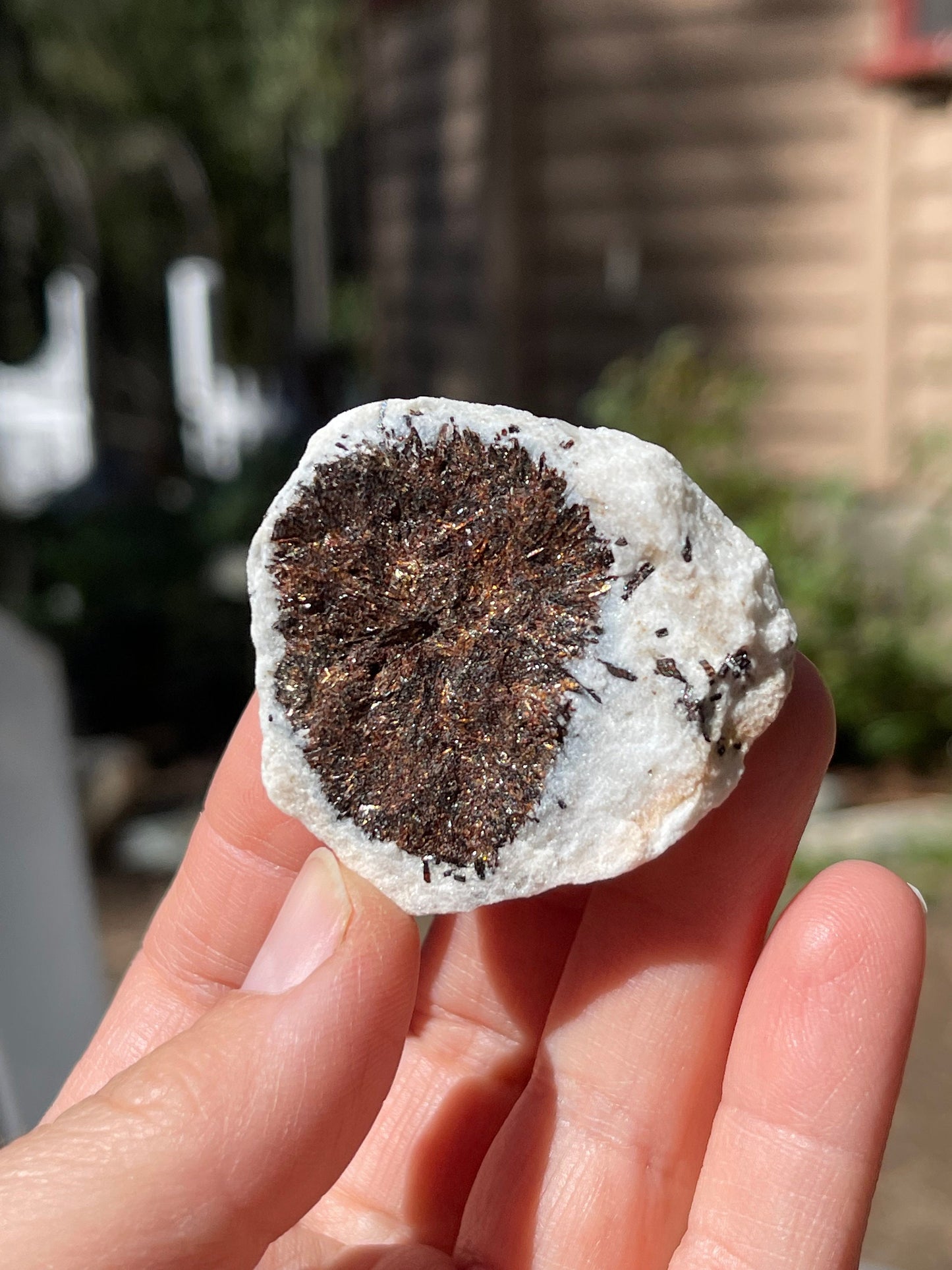 Astrophyllite Starburst, Shimmering Minerals