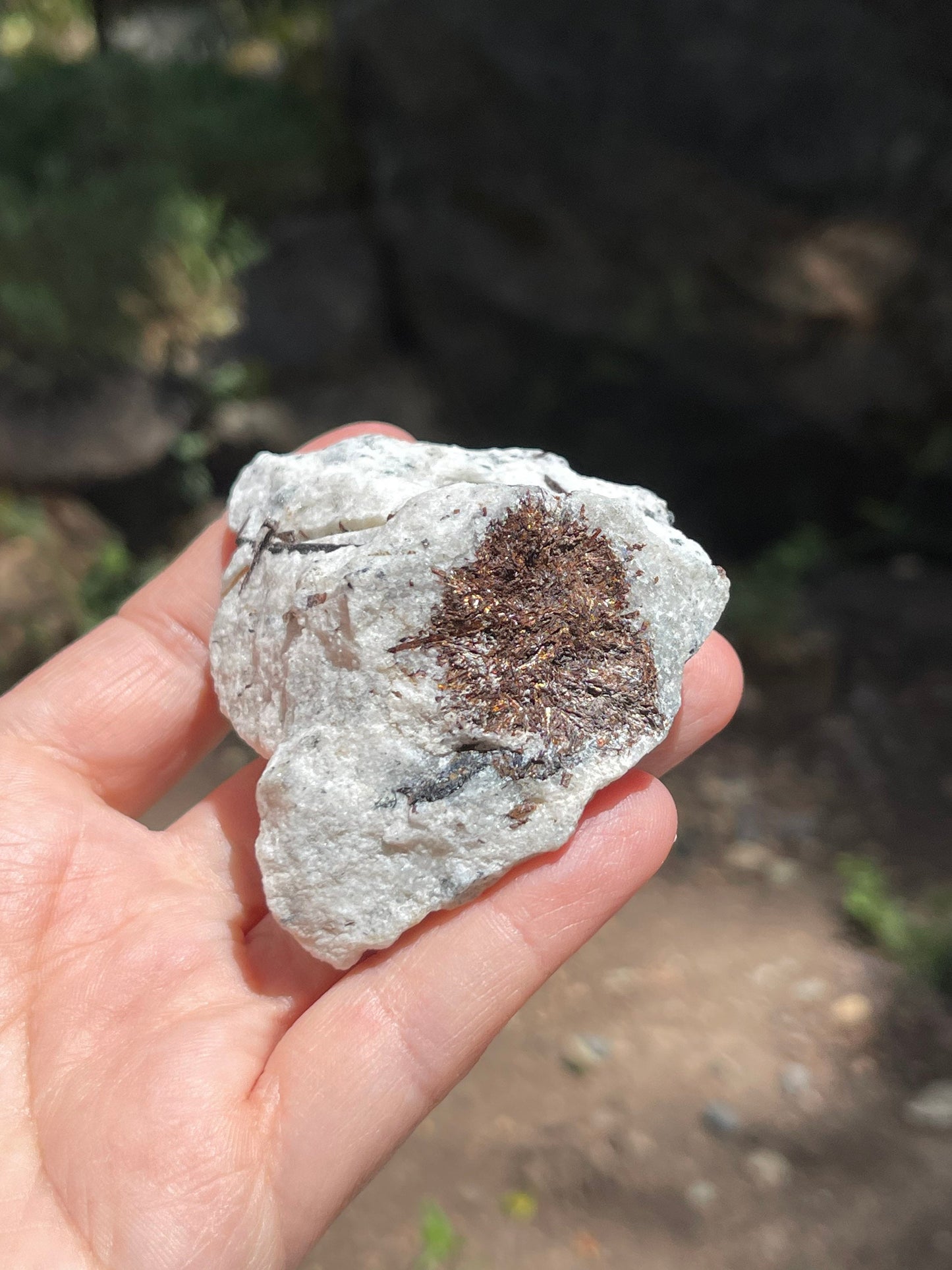 Astrophyllite Starburst, Shimmering Minerals