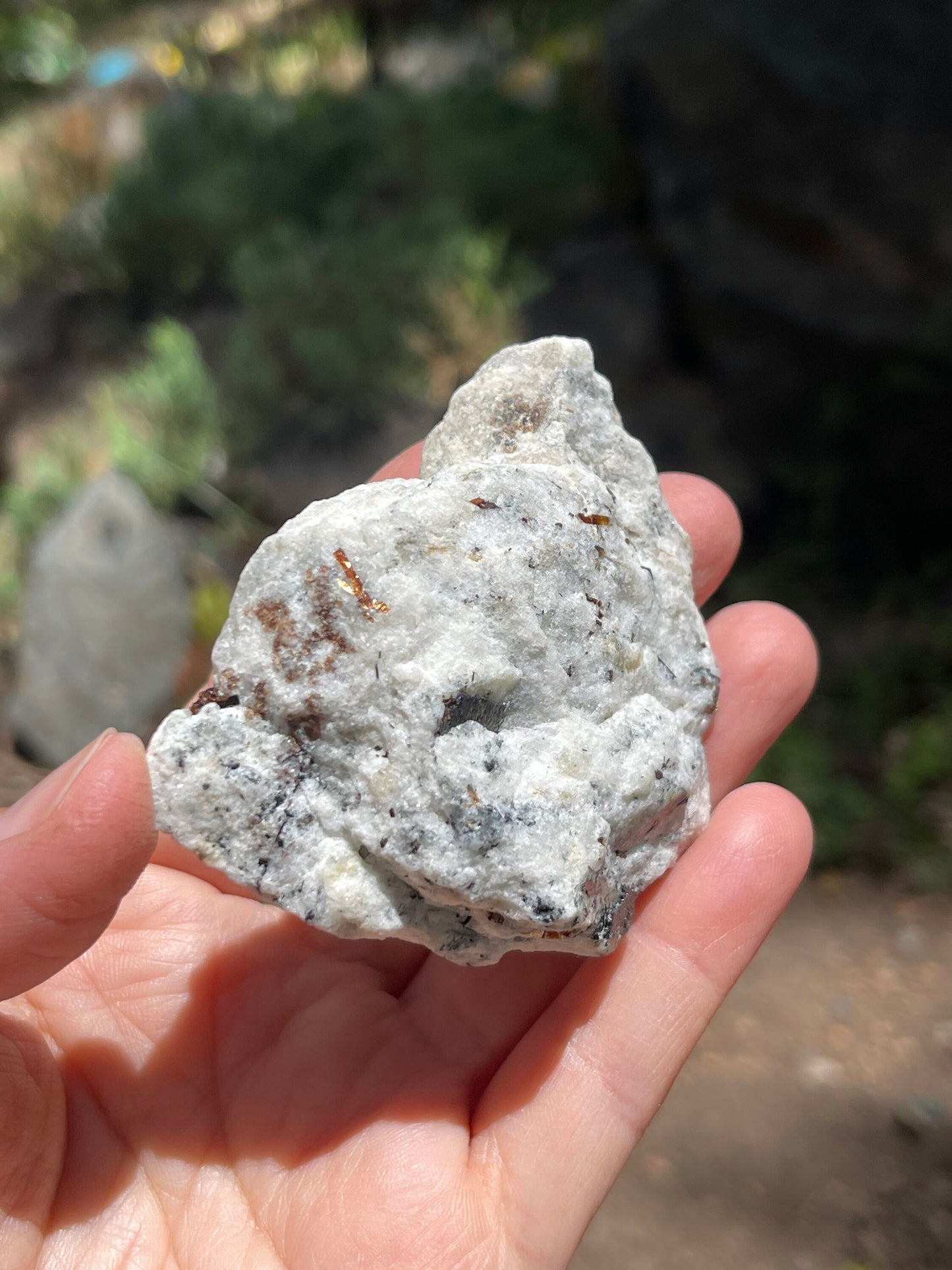 Astrophyllite Starburst, Shimmering Minerals