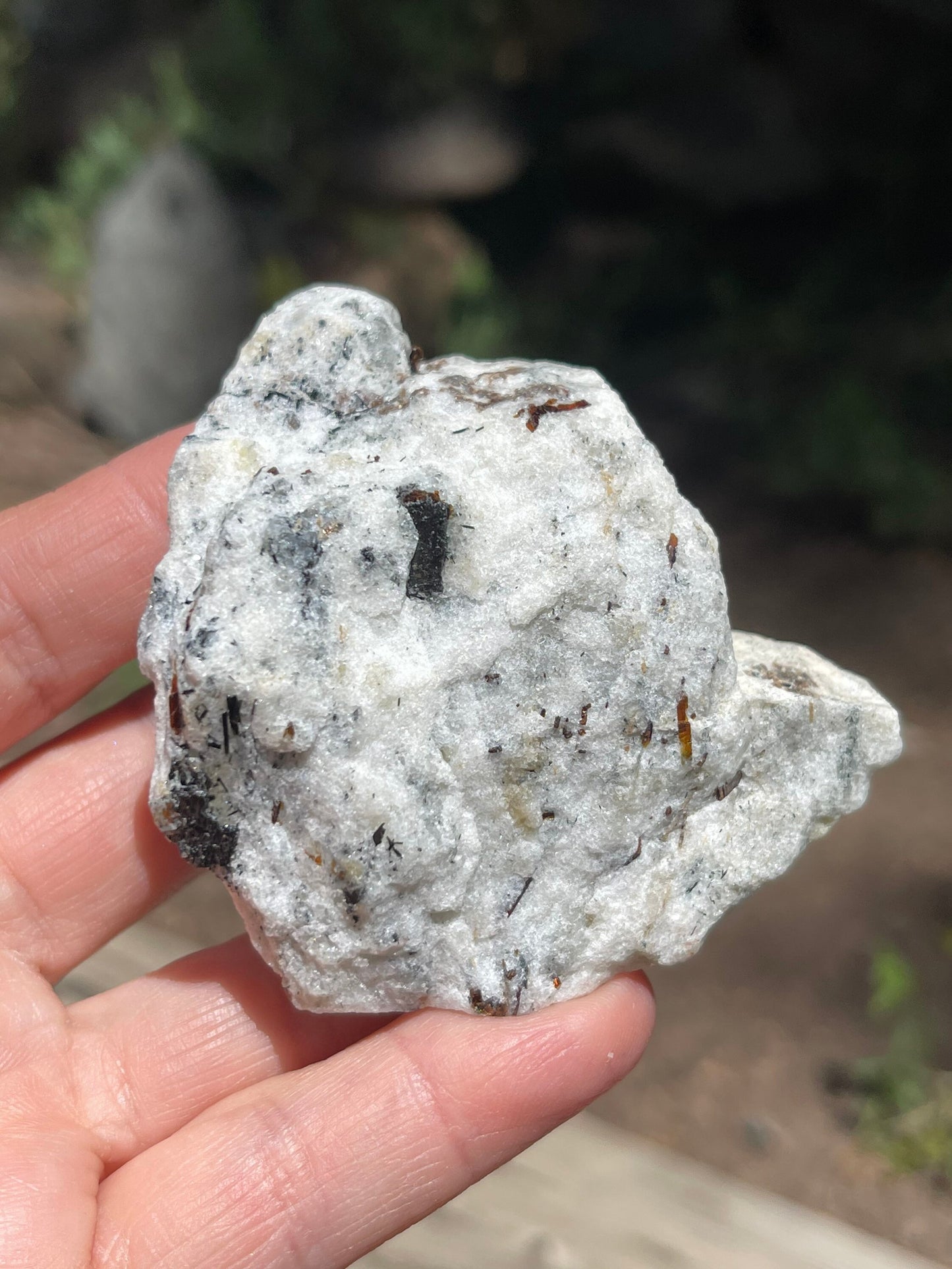 Astrophyllite Starburst, Shimmering Minerals