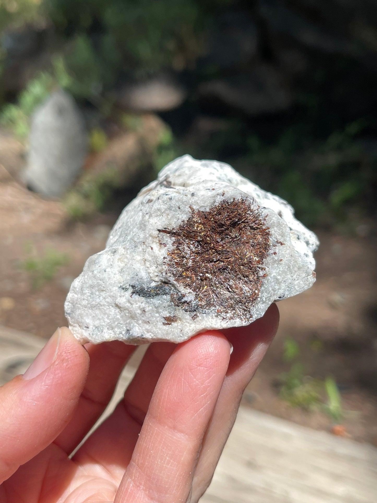 Astrophyllite Starburst, Shimmering Minerals
