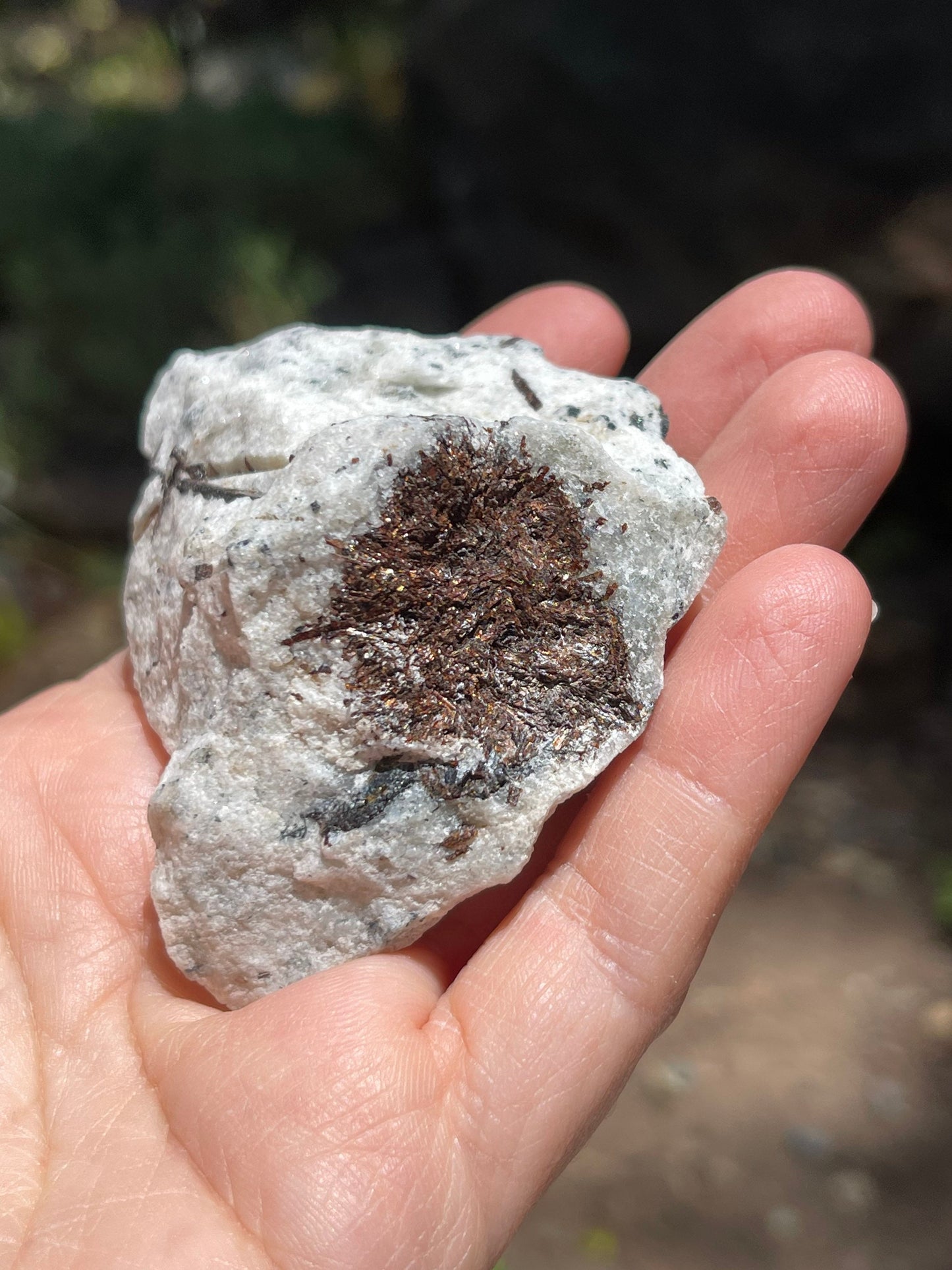 Astrophyllite Starburst, Shimmering Minerals