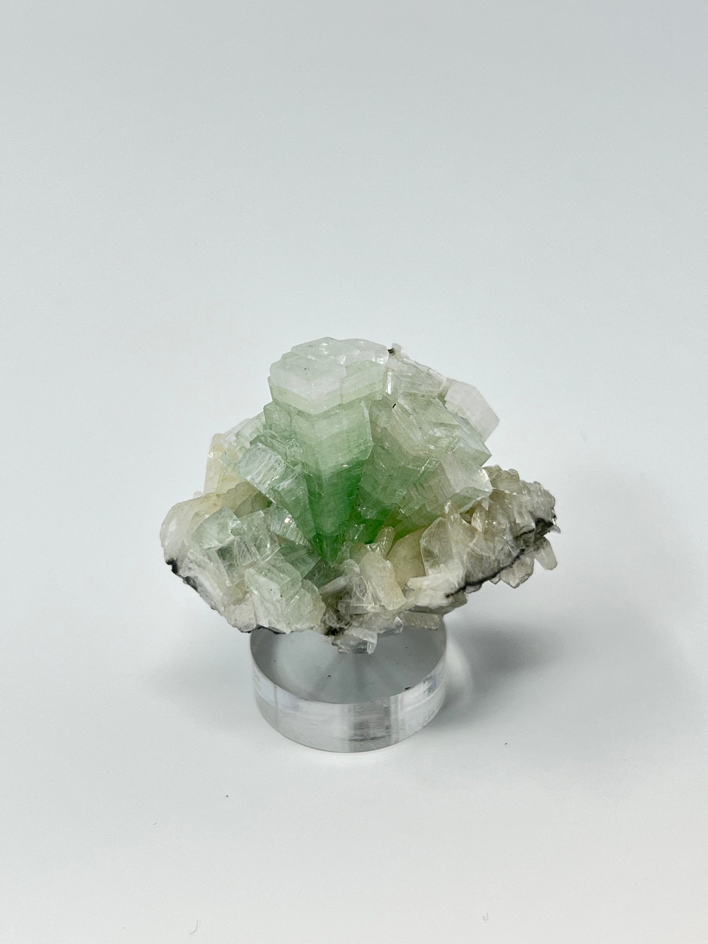 Green Apophyllite 'Disco Ball' Crystal, India