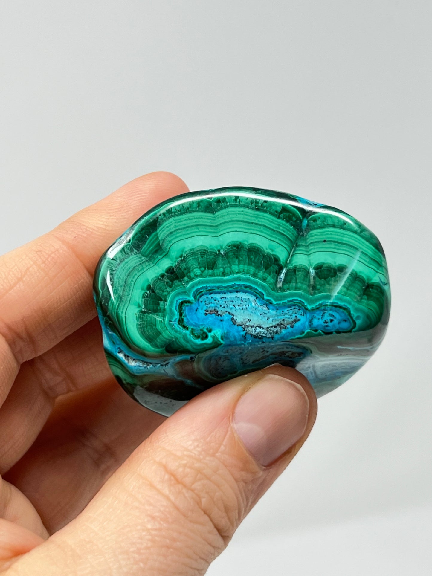 Malacolla Polished Stone, Malachite, Chrysocolla, Africa Minerals