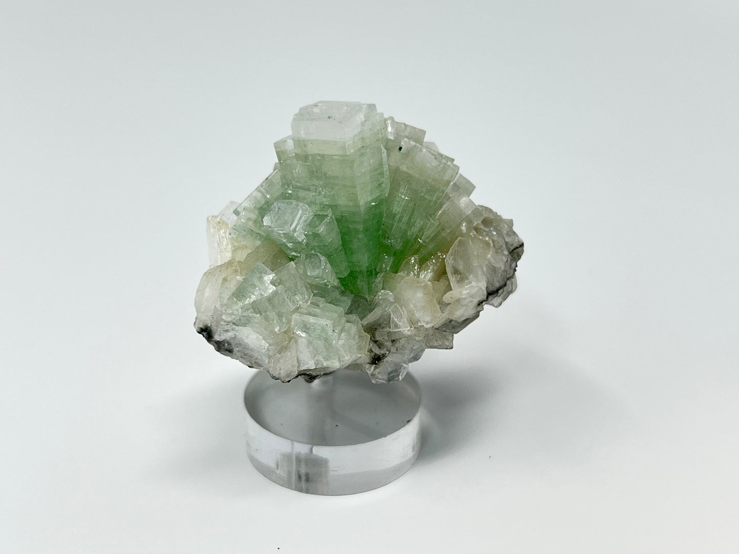 Green Apophyllite 'Disco Ball' Crystal, India