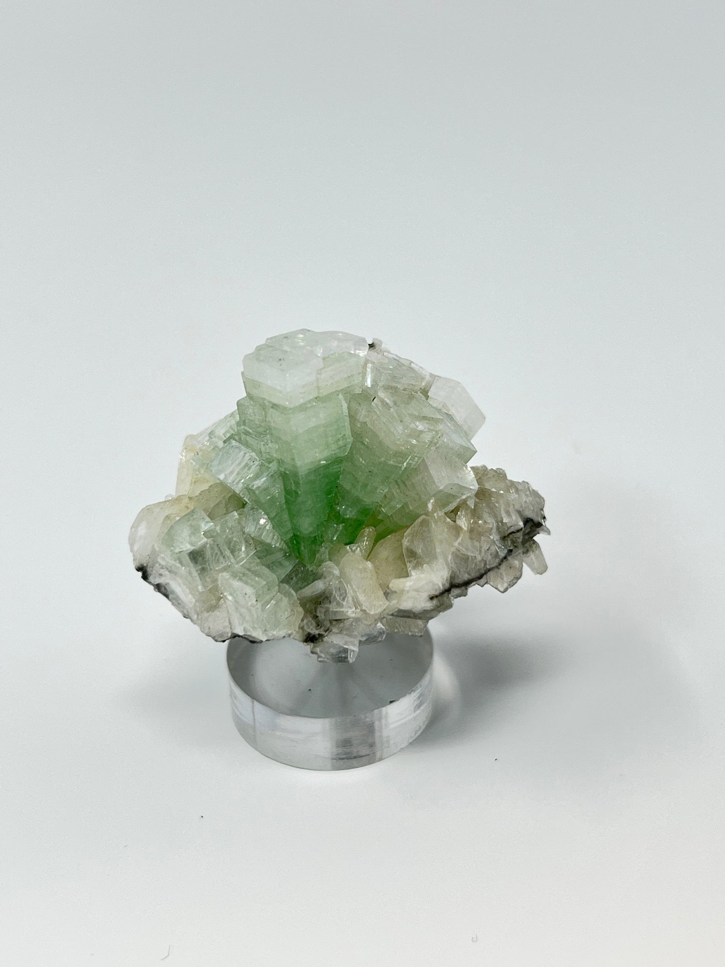 Green Apophyllite 'Disco Ball' Crystal, India