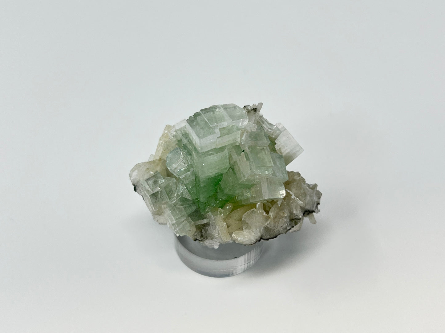 Green Apophyllite 'Disco Ball' Crystal, India