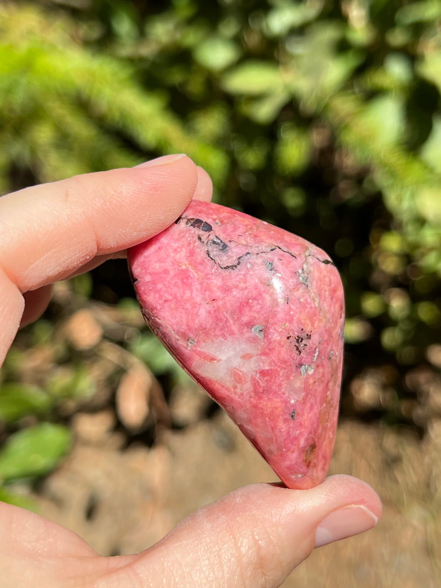 Bustamite Freeform, Wessels Mine, South Africa