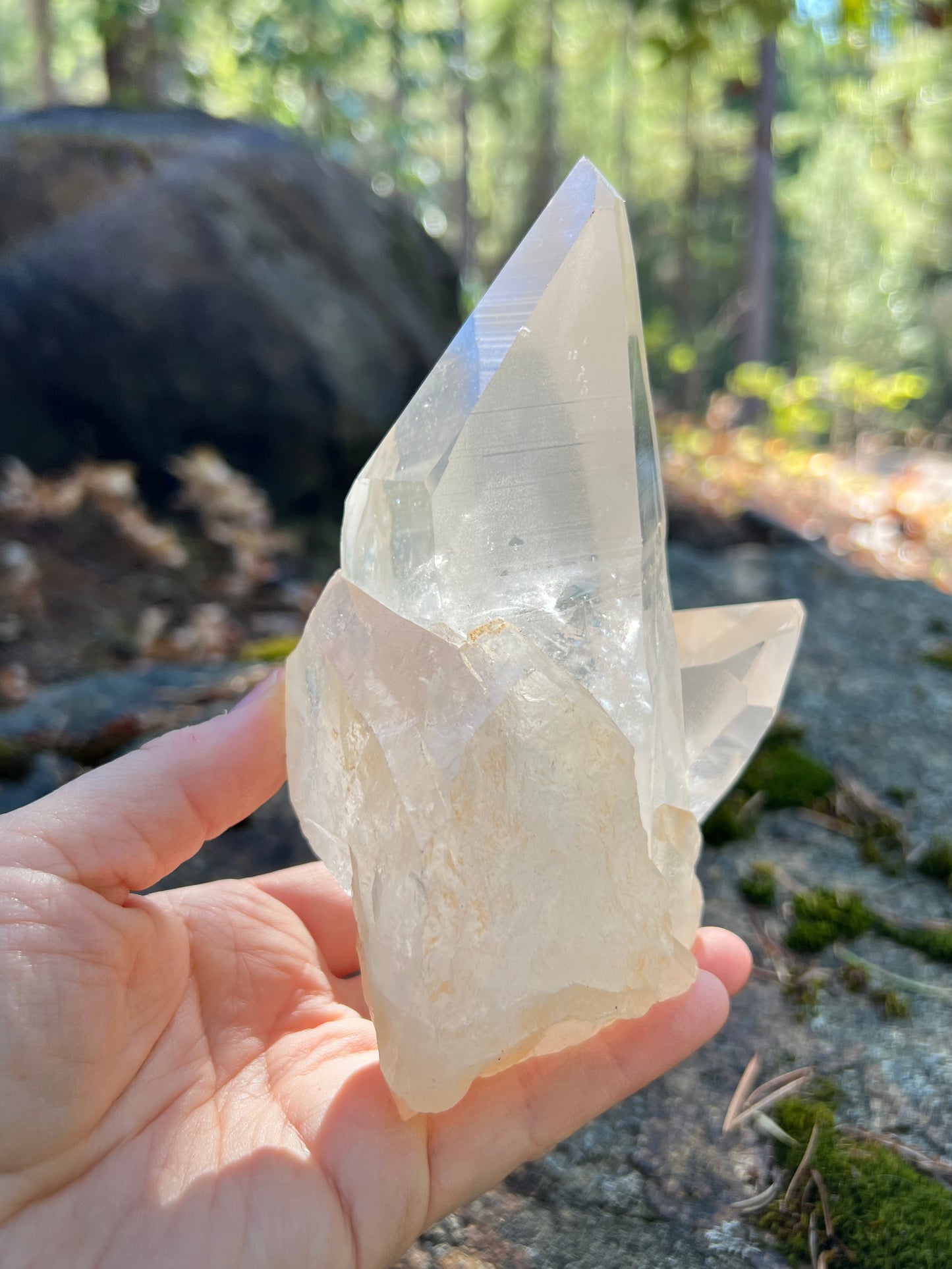Clear Lemurian Quartz