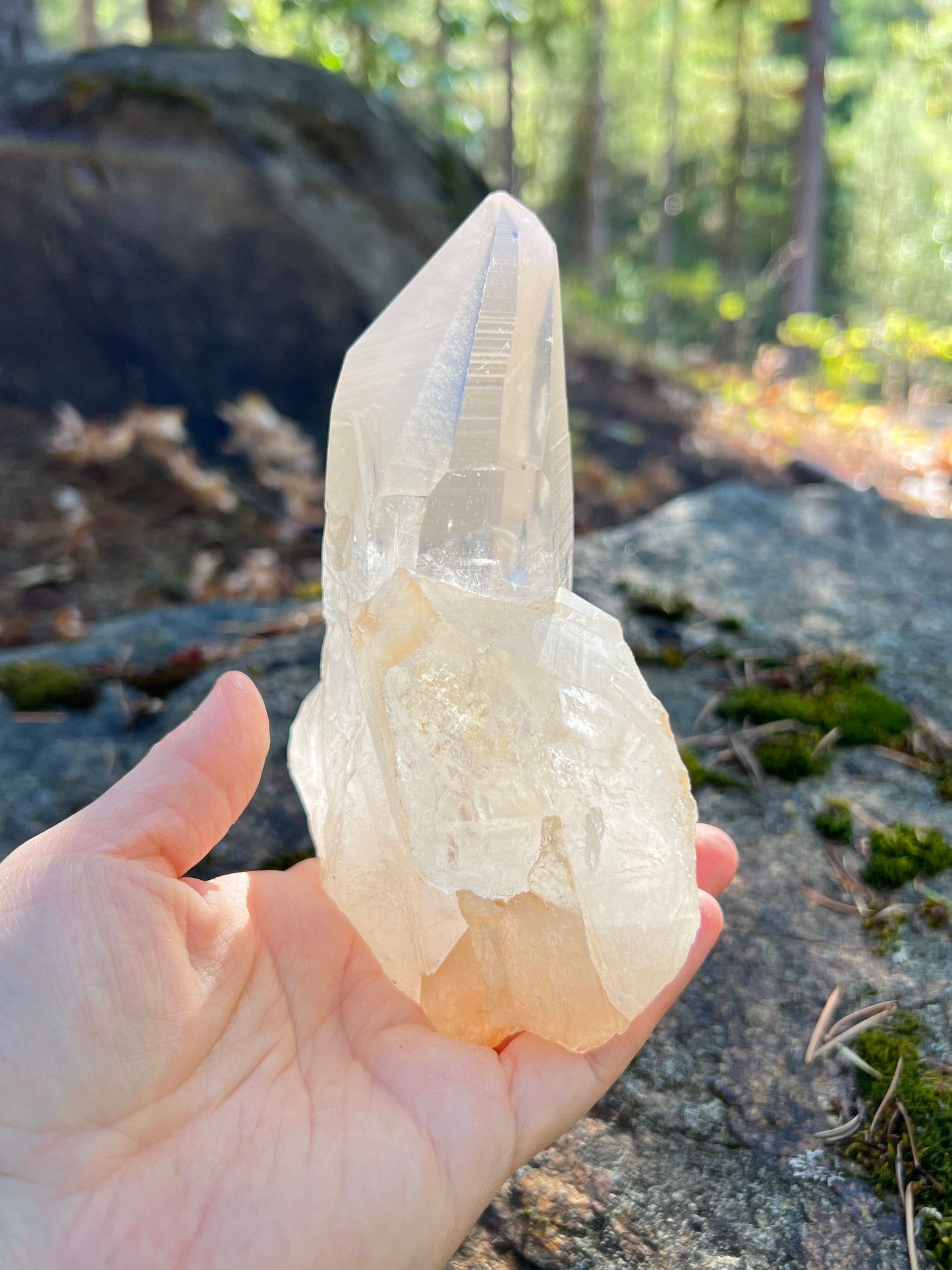Clear Lemurian Quartz