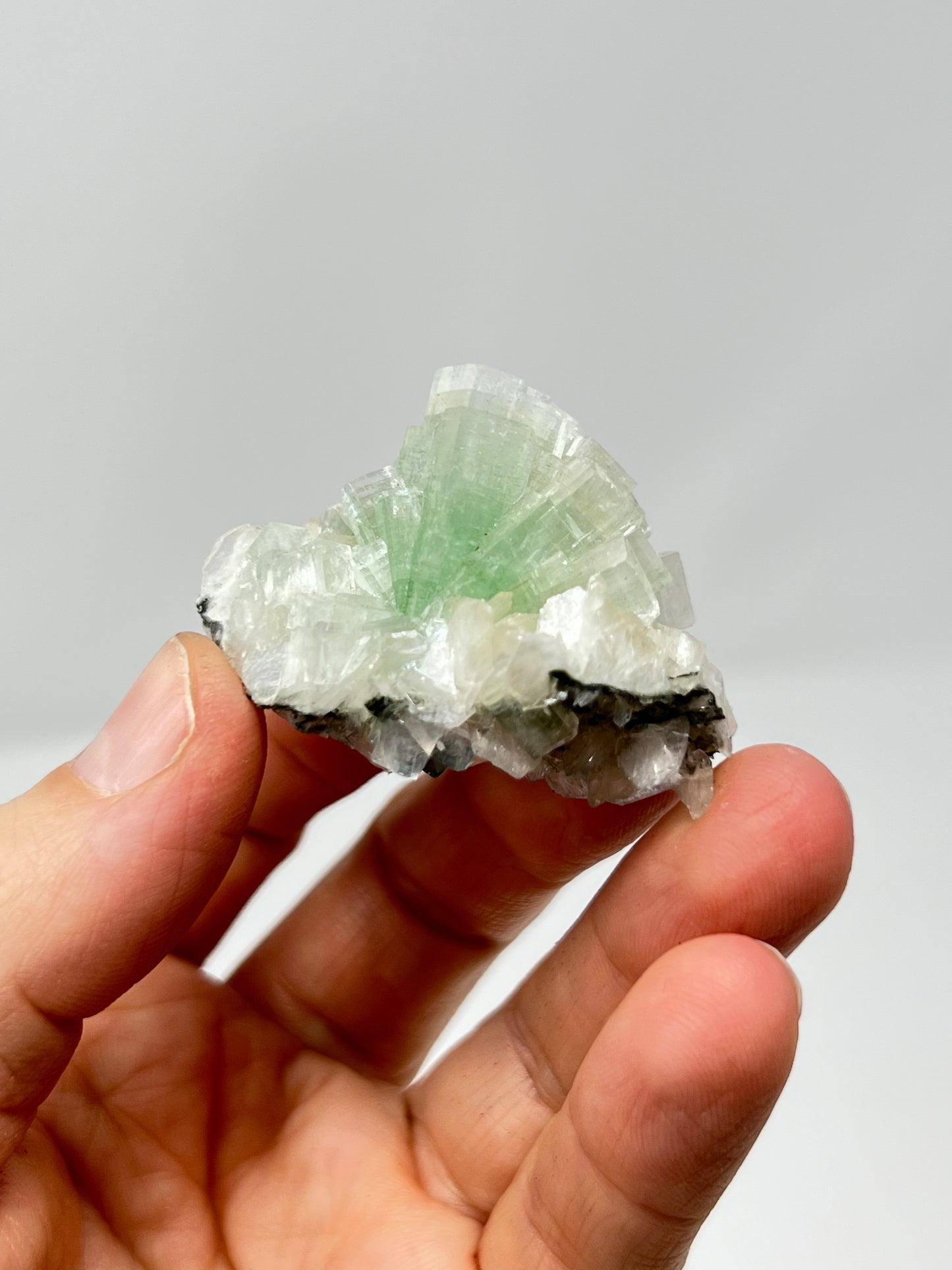 Green Apophyllite 'Disco Ball' Crystal, India