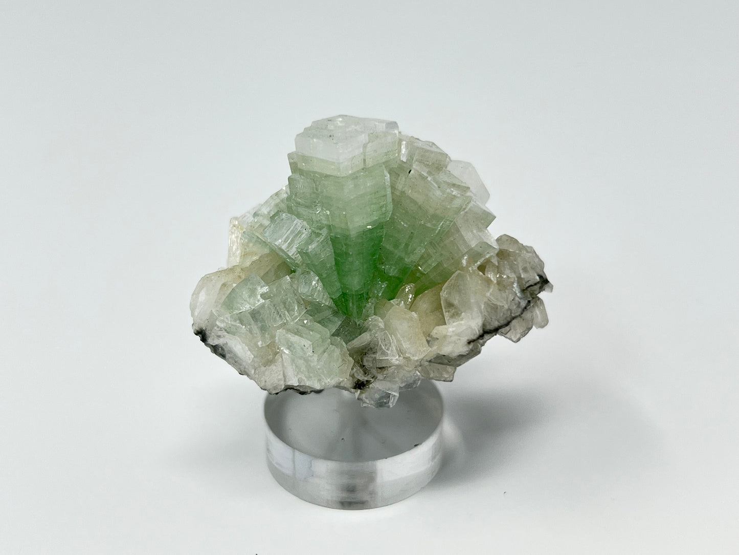 Green Apophyllite 'Disco Ball' Crystal, India