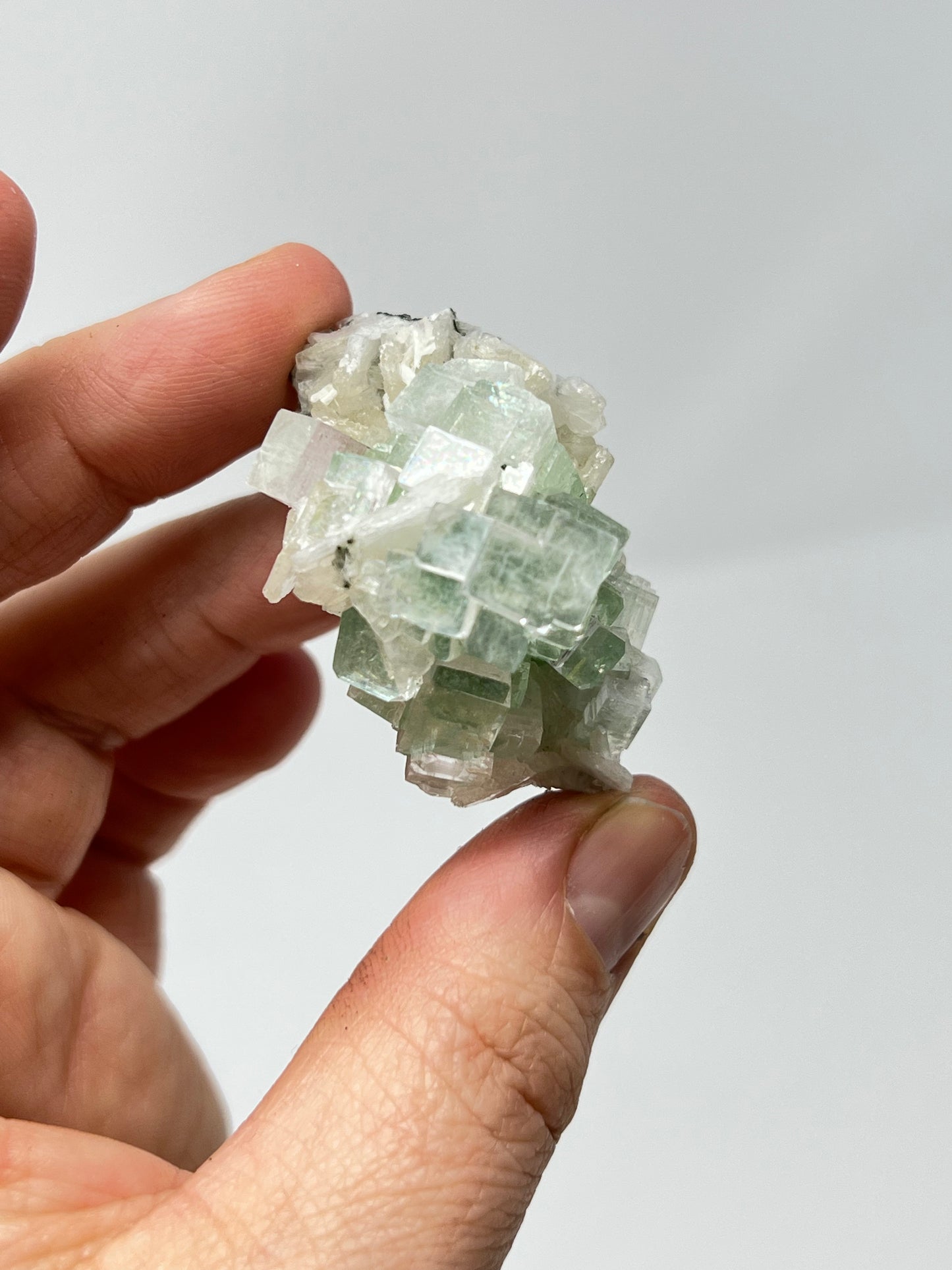 Green Apophyllite 'Disco Ball' Crystal, India